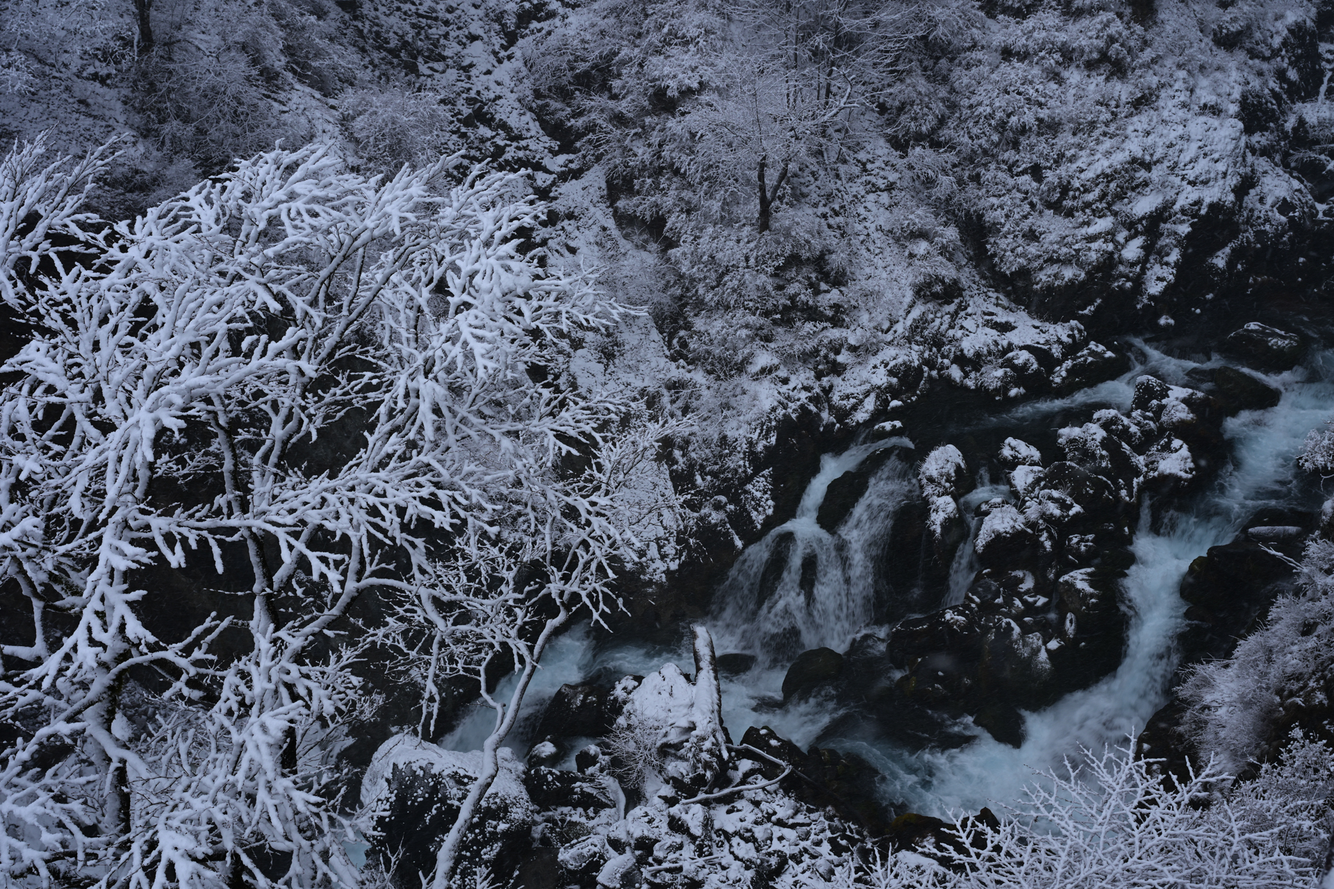 <a href="https://ganref.jp/m/himanchu-1610/reviews_and_diaries">Hiroto.Mさん</a>の作品<br><span class="fnt-85">ニコン Z8／NIKKOR Z 24-70mm f/2.8 S／39mm／絞り優先AE（1/50秒、F9.0、−0.7EV）／ISO 100</span>