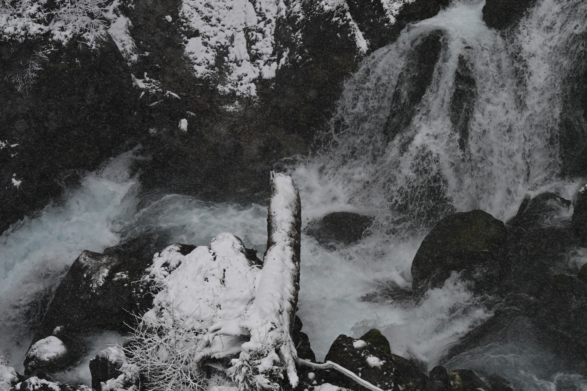 <a href="https://ganref.jp/m/teruteru8210/reviews_and_diaries">新谷 輝雄さん</a>の作品<br><span class="fnt-85">ニコン Z8／NIKKOR Z 70-200mm f/2.8 VR S／130mm／マニュアル露出（1/200秒、F8.0）／ISO 400</span>