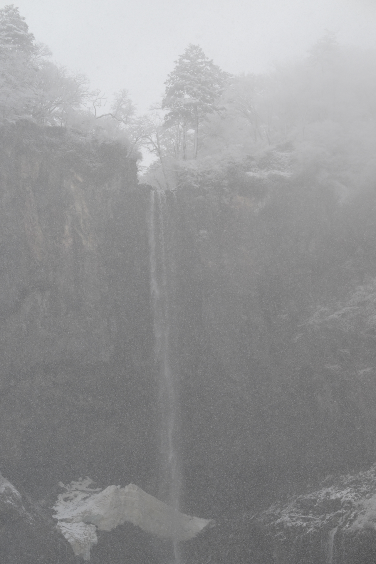 <a href="https://ganref.jp/m/rigel5/reviews_and_diaries">りょうさん</a>の作品<br><span class="fnt-85">ニコン Z8／NIKKOR Z 70-200mm f/2.8 VR S／70mm／プログラムAE（1/640秒、F6.3）／ISO 800</span>