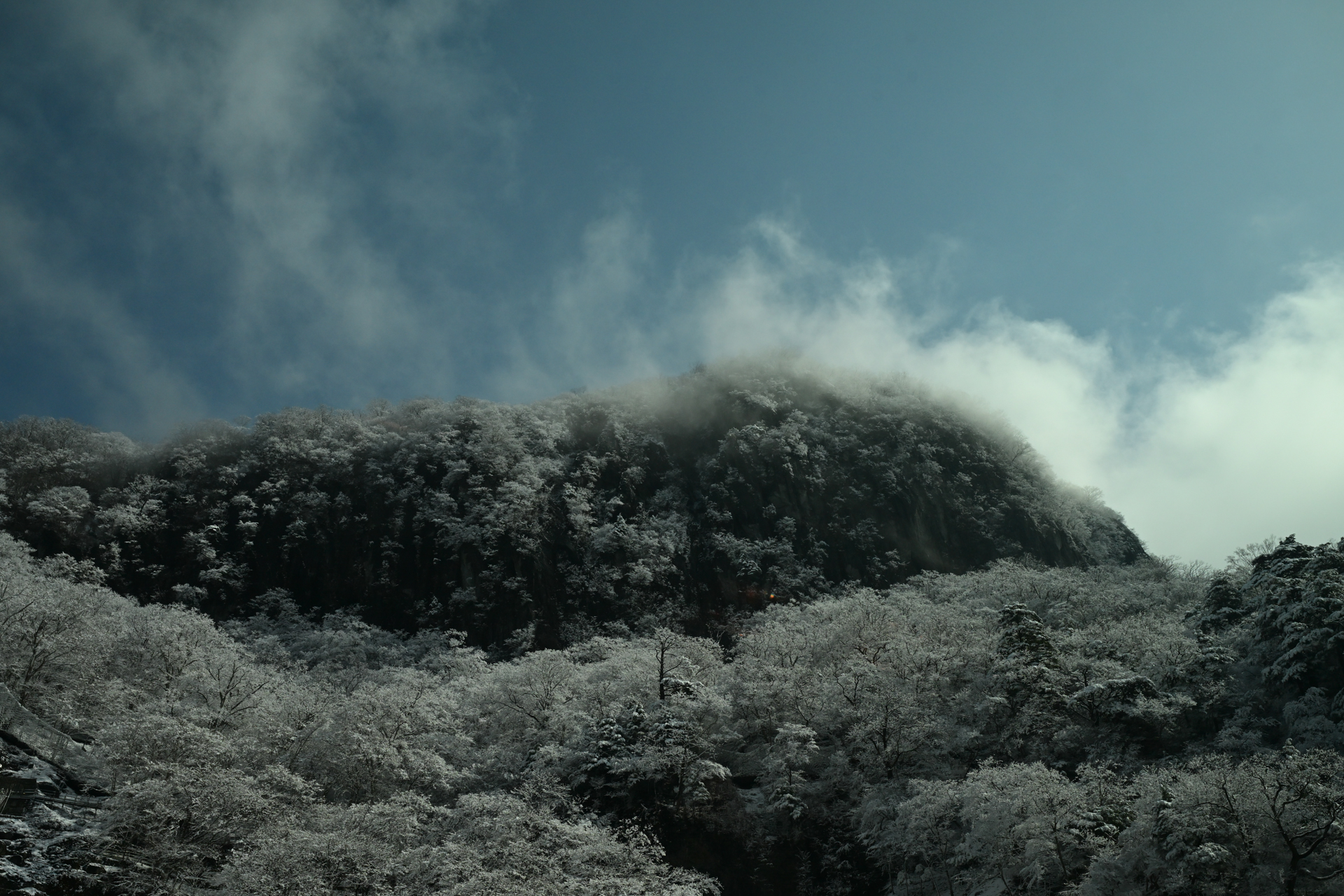 <a href="https://ganref.jp/m/teruteru8210/reviews_and_diaries">新谷 輝雄さん</a>の作品<br><span class="fnt-85">ニコン Z8／NIKKOR Z 24-70mm f/2.8 S／36mm／マニュアル露出（1/2,500秒、F8.0）／ISO 400</span>