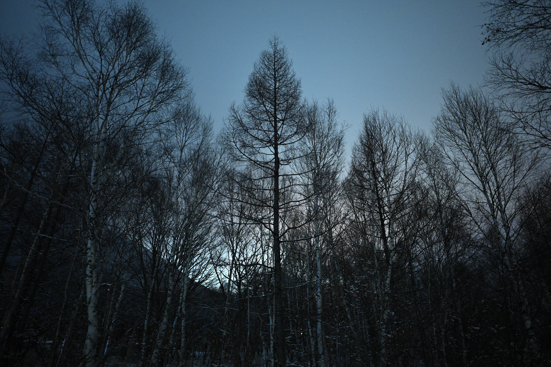 <a href="https://ganref.jp/m/himanchu-1610/reviews_and_diaries">Hiroto.Mさん</a>の作品<br><span class="fnt-85">ニコン Z8／NIKKOR Z 20mm f/1.8 S／20mm／マニュアル露出（15秒、F1.8）／ISO 6400</span>