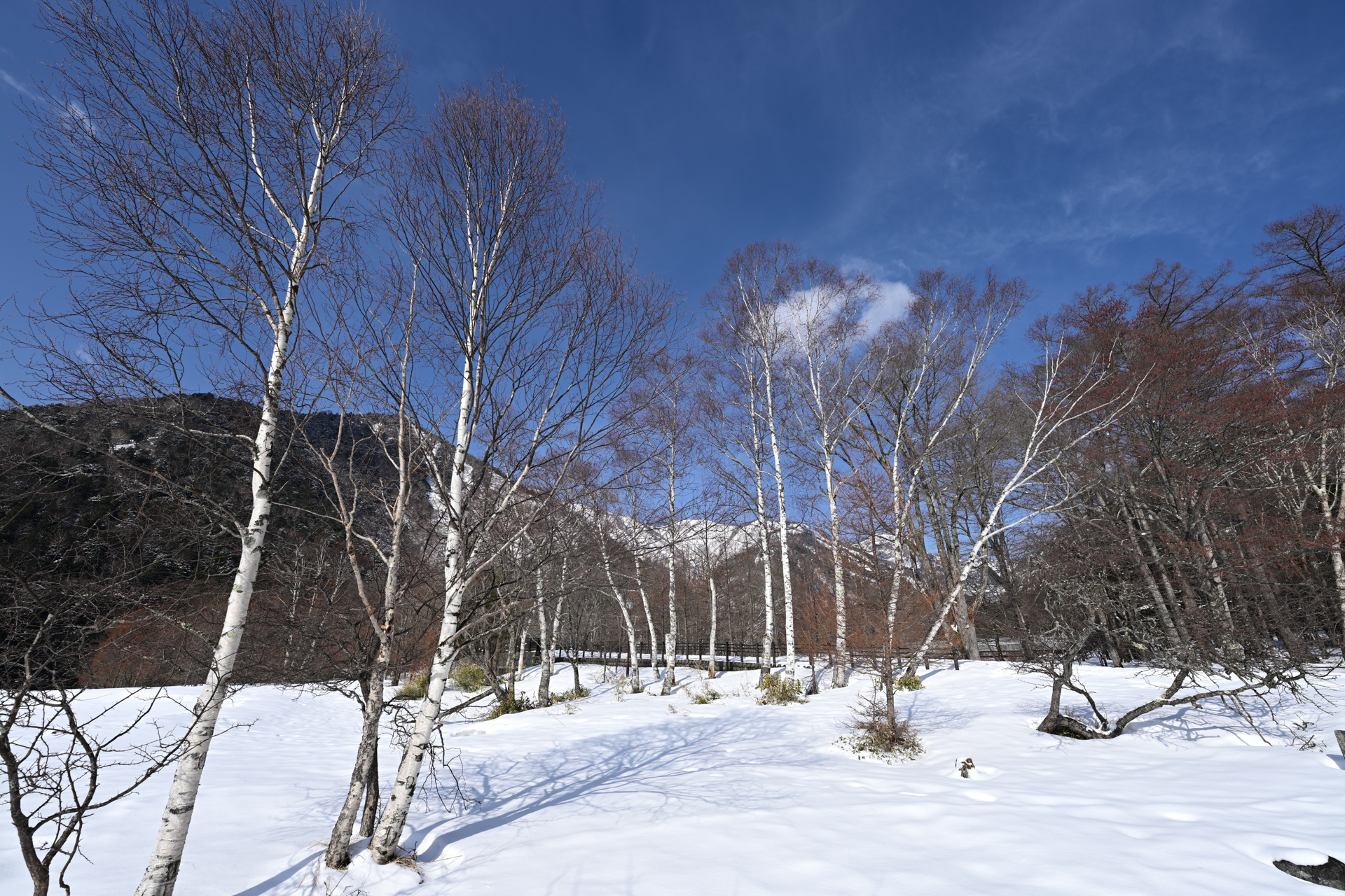 <a href="https://ganref.jp/m/fukunaga_kunihiko/reviews_and_diaries/">くにさん</a>の作品<br><span class="fnt-85">ニコン Z8／NIKKOR Z 14-24mm f/2.8 S／14mm相当／マニュアル露出（1/200秒、F8.0）／ISO 64</span>