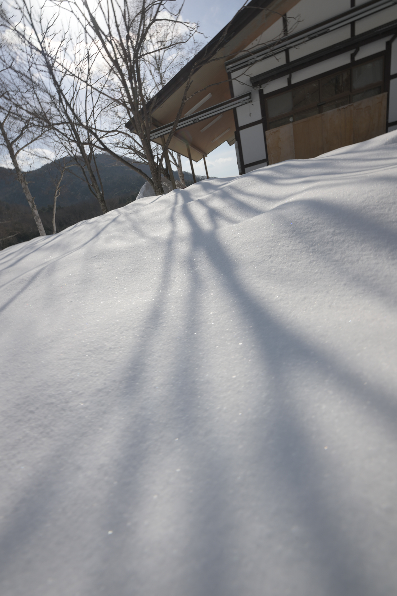 <a href="https://ganref.jp/m/legacy7010/reviews_and_diaries">legacy7010さん</a>の作品<br><span class="fnt-85">ニコン Z8／NIKKOR Z 14-24mm f/2.8 S／14mm相当／絞り優先AE（1/200秒、F11、＋0.7EV）／ISO 64</span>