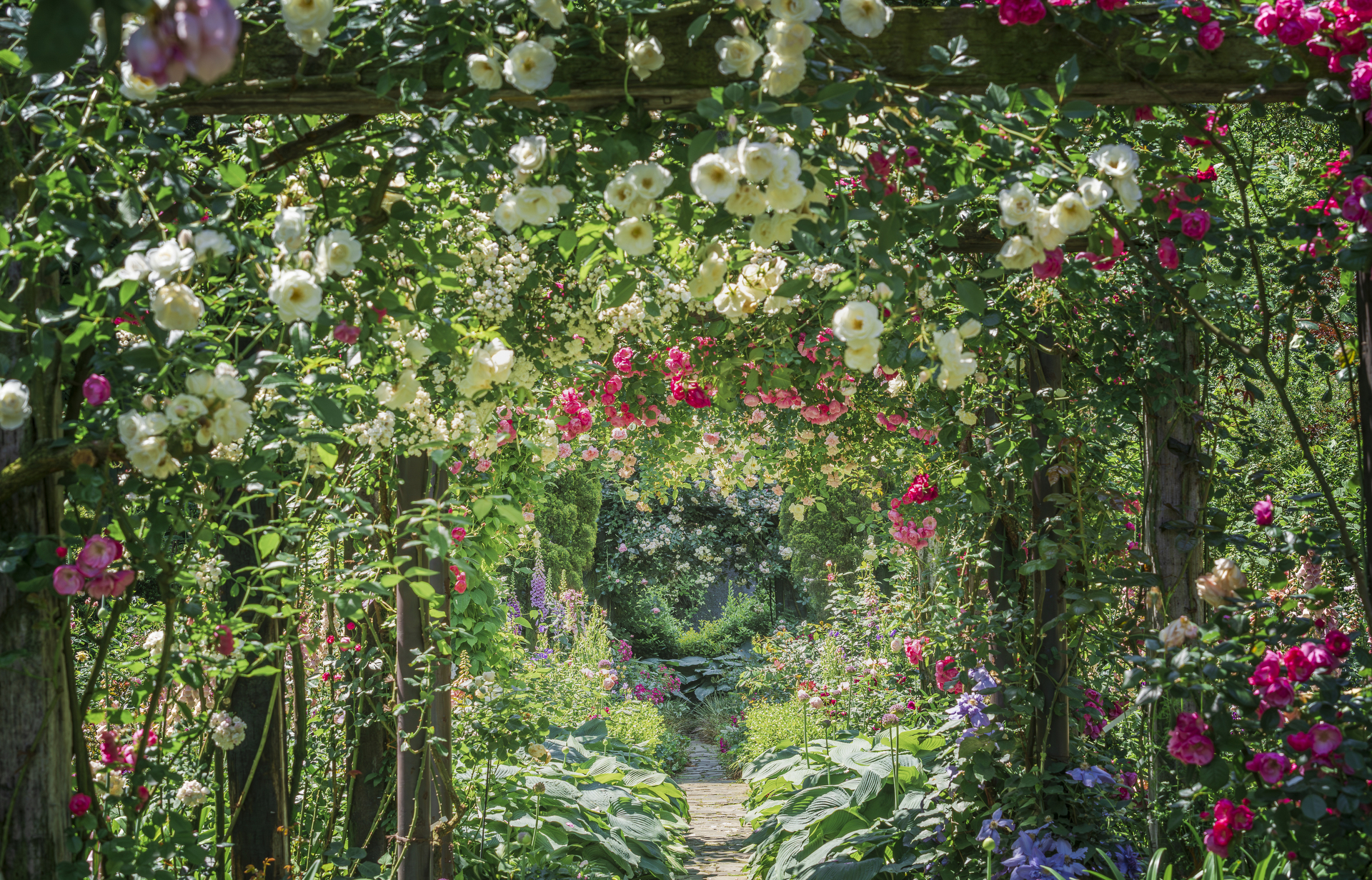 エバーガーデン