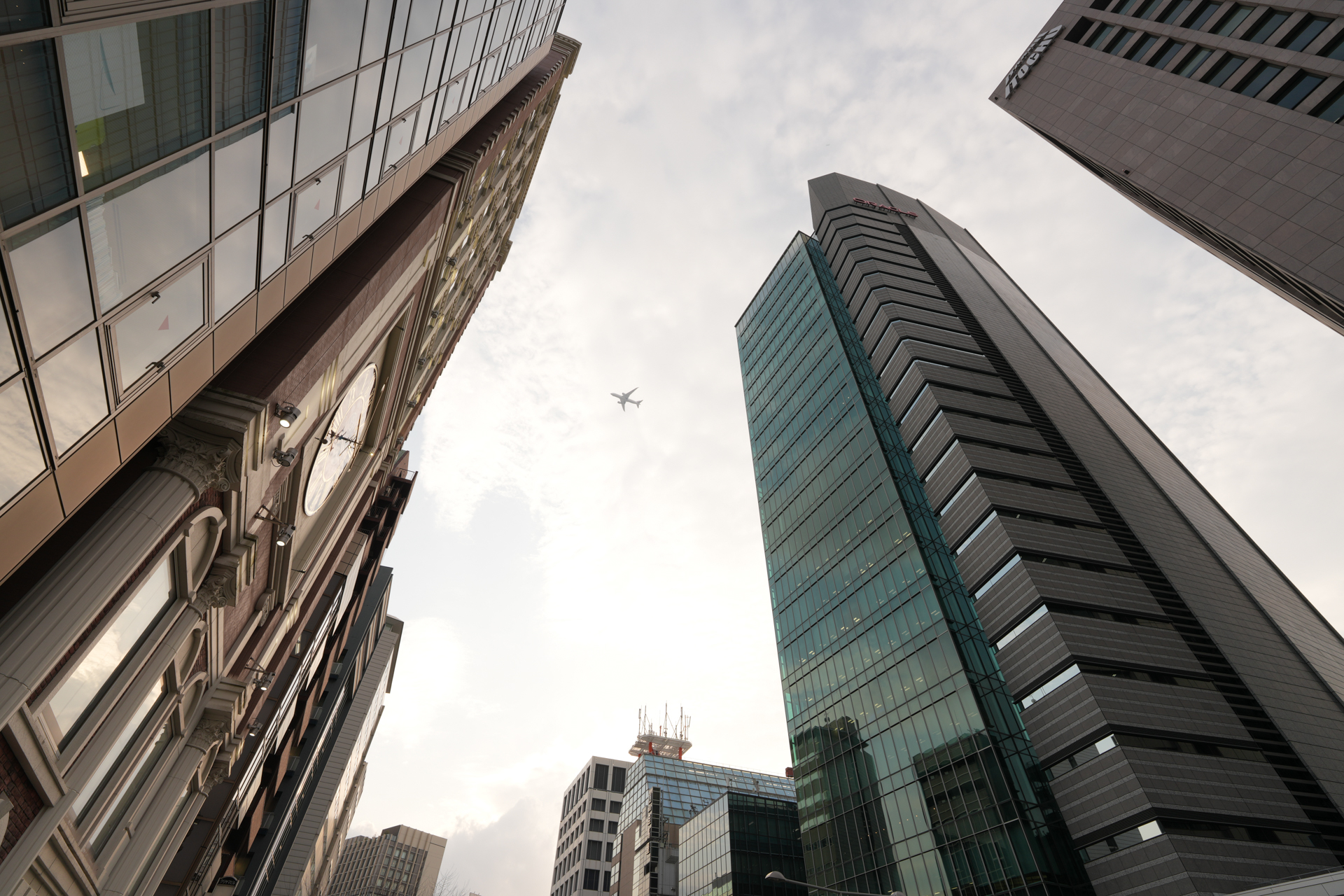 α7R V／マニュアル露出（1/100秒、F8）／ISO 100