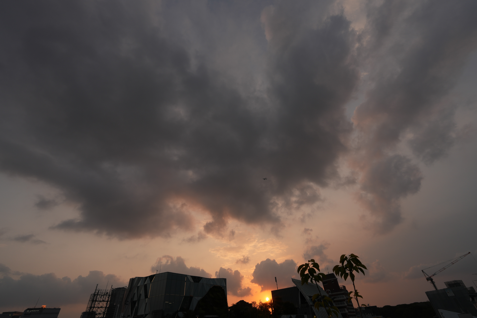 α7R V／マニュアル露出（1/100秒、F11）／ISO 100