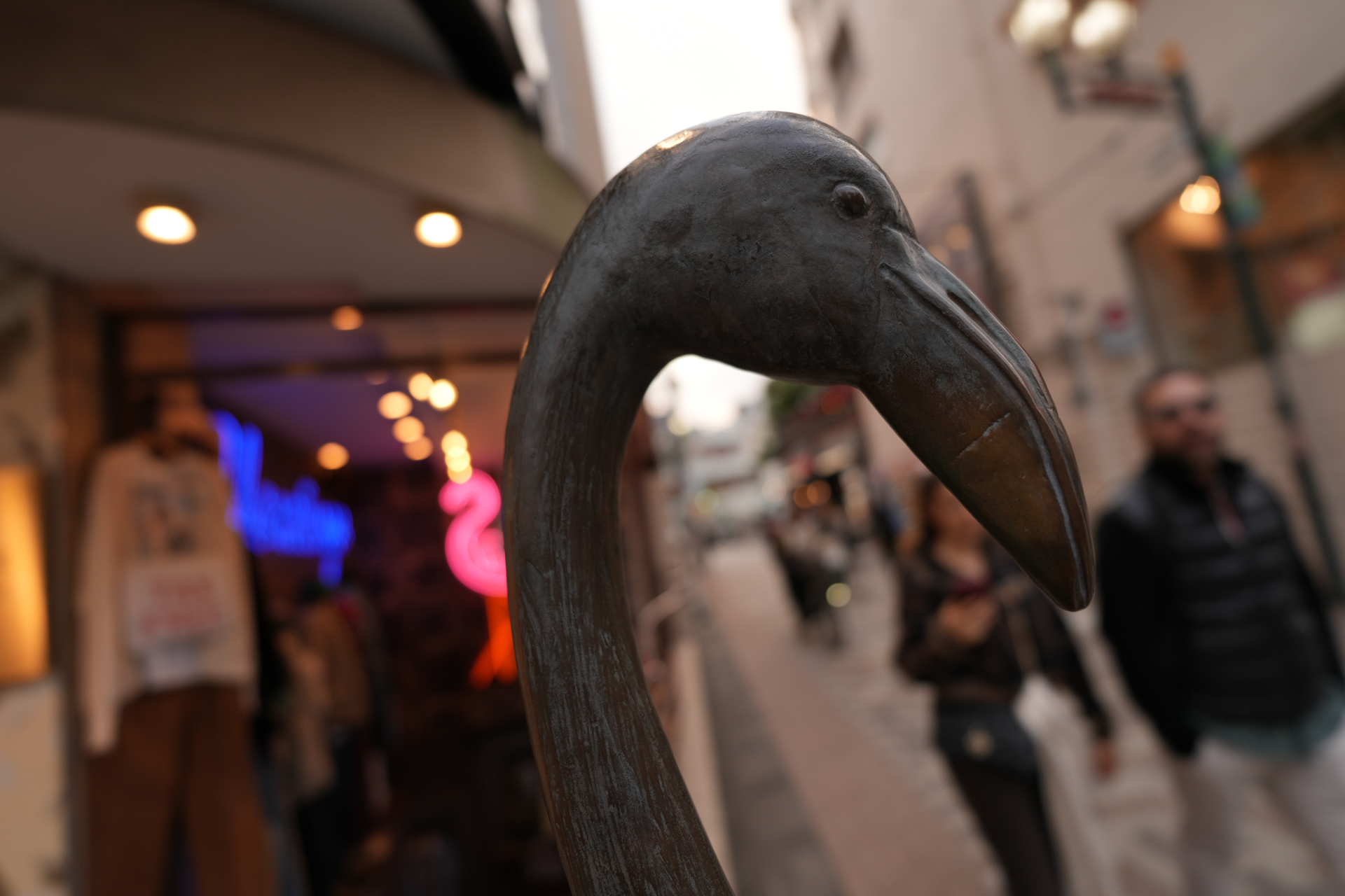 α7R V／マニュアル露出（1/320秒、F1.8）／ISO 100