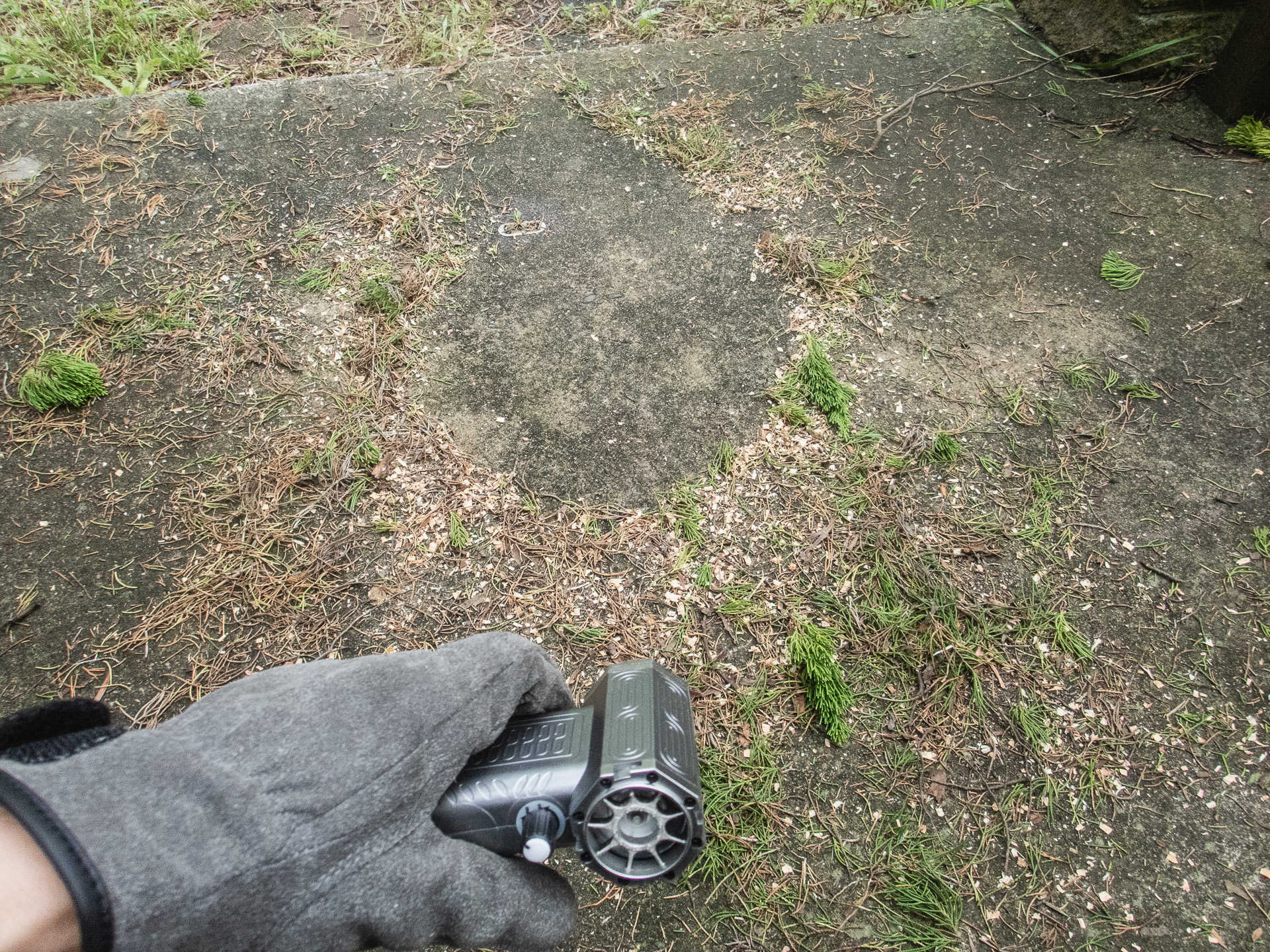 小枝掃除。これも1m先くらいのものまで吹き飛ばせるので、箒で掃除するより楽ちんでした