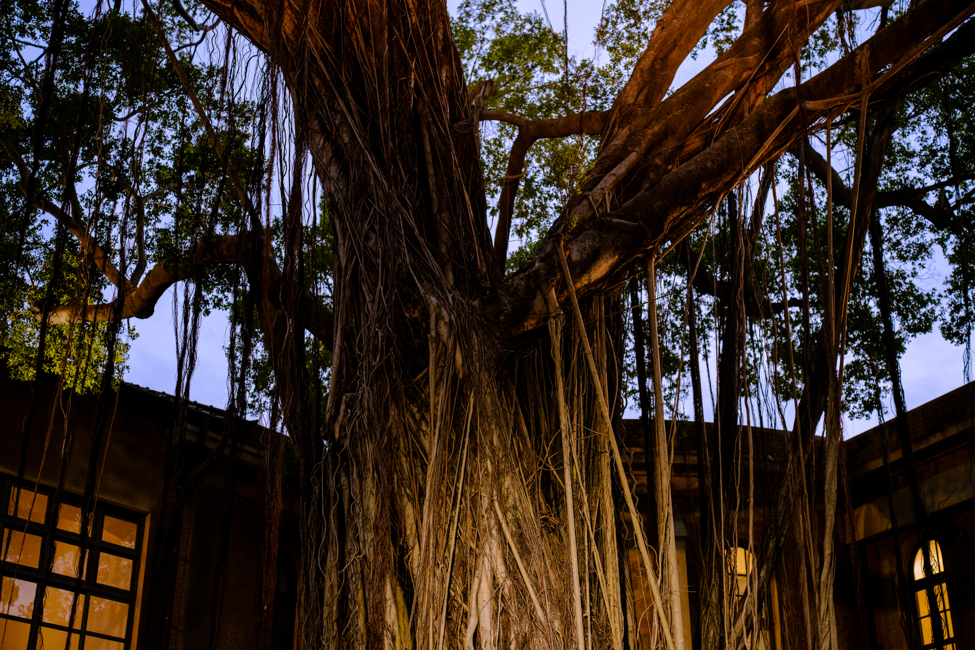 ニコン Z7II／ZEISS Otus ML 1.4/50／マニュアル露出（F2.8、1/160秒）／ISO 640／WB：晴天