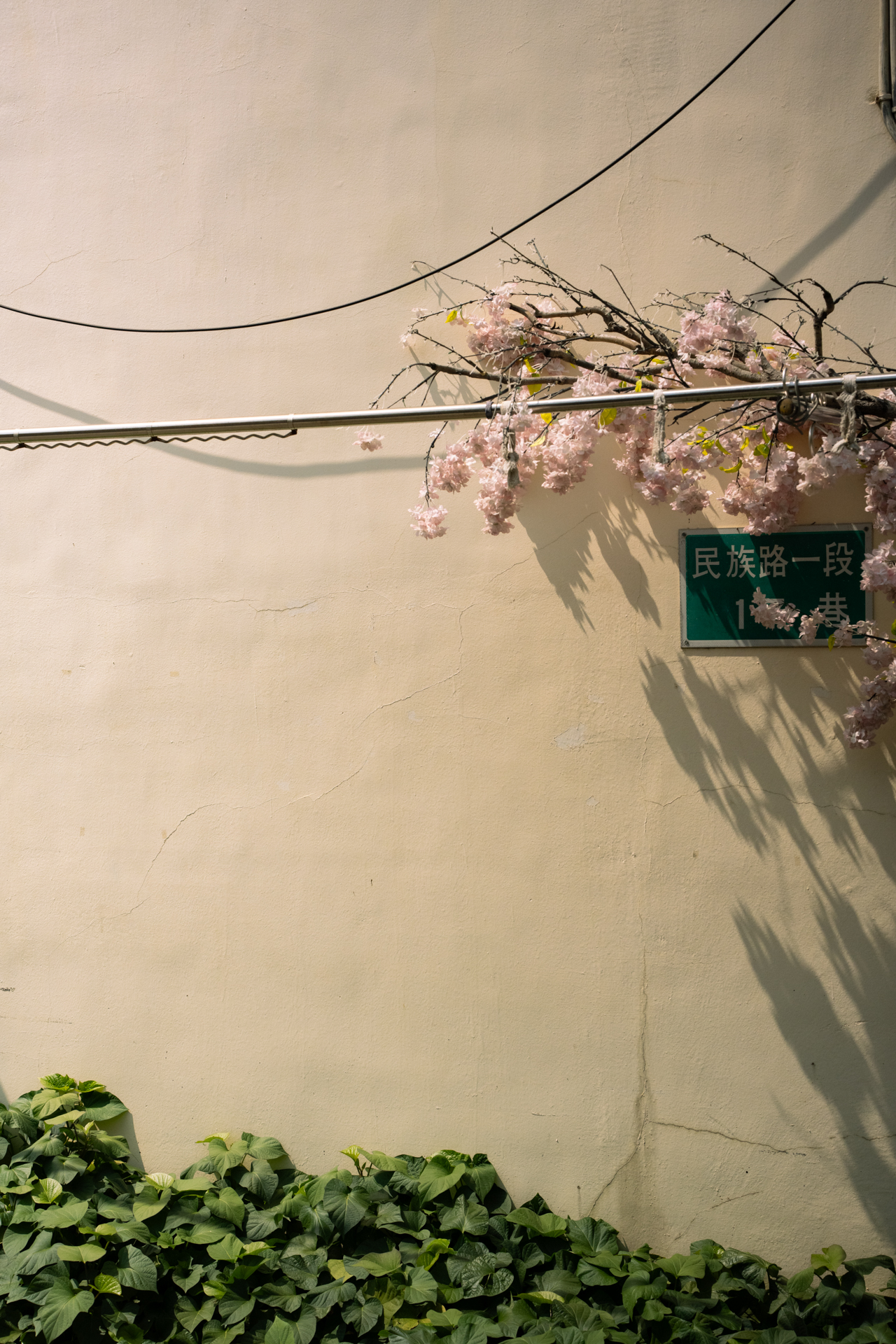 ニコン Z7II／ZEISS Otus ML 1.4/50／50mm／マニュアル露出（F5.6、1/8,000秒）／ISO 400／WB：晴天