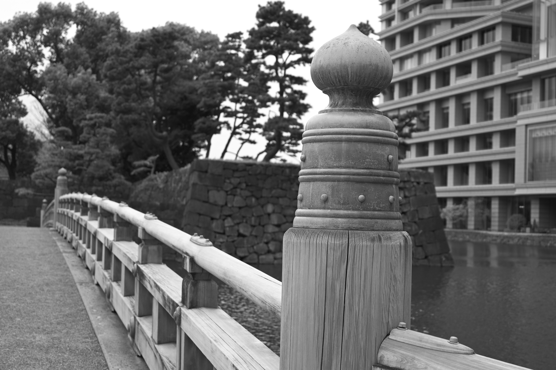 Z5II／NIKKOR Z 24-50mm f/4-6.3／50mm／絞り優先AE（1/100秒、F6.3、＋0.33EV）／ISO 100