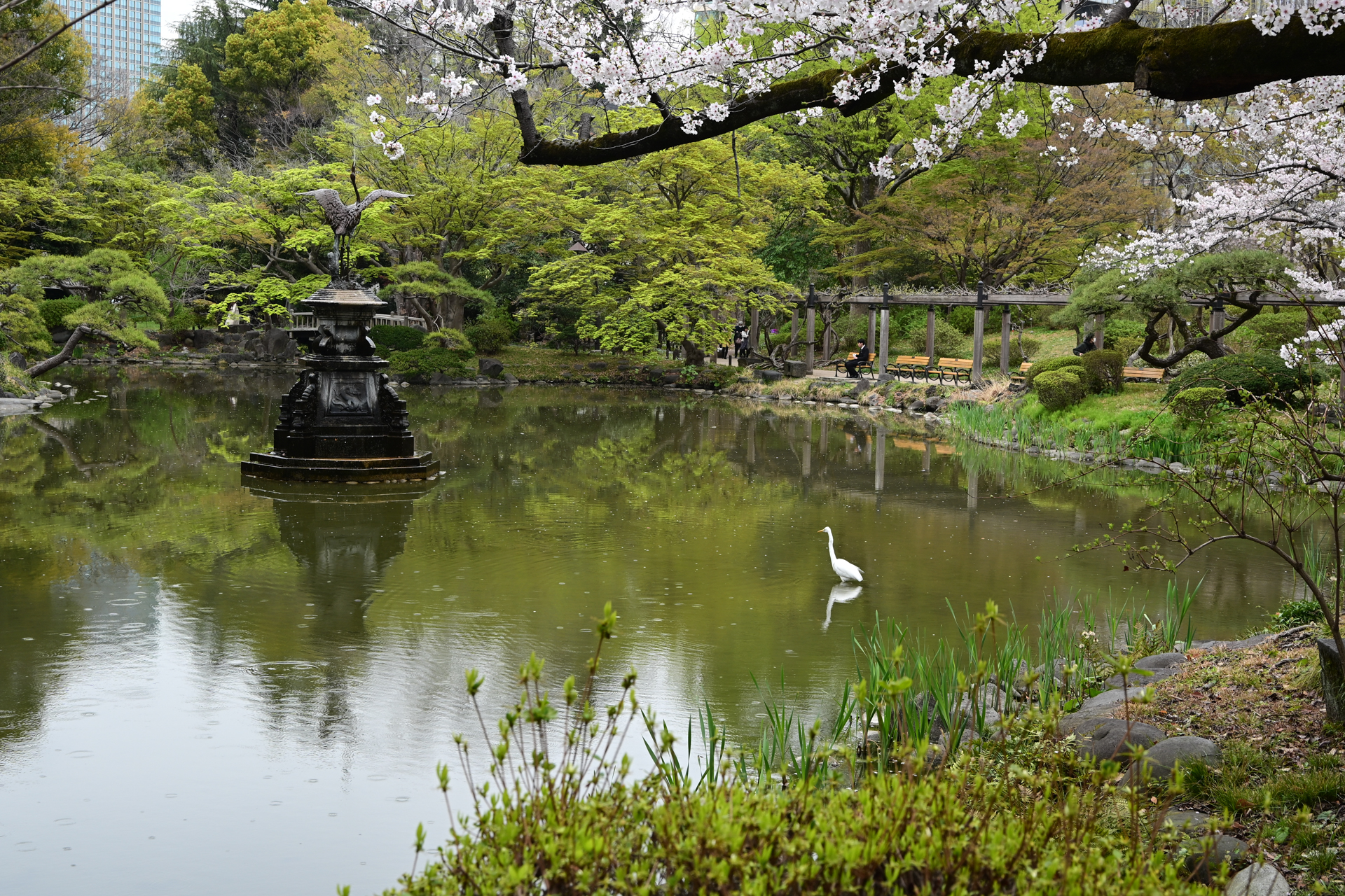 Z5II／NIKKOR Z 24-50mm f/4-6.3／49m／絞り優先AE（1/80秒、F11、＋0.33EV）／ISO 400