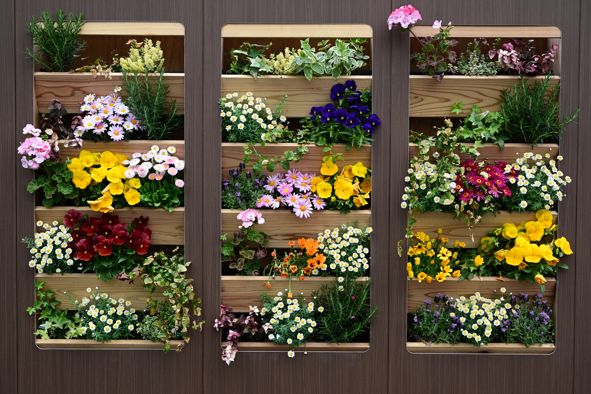 Z5II／NIKKOR Z 24-50mm f/4-6.3／50m／絞り優先AE（1/125秒、F8.0、＋0.33EV）／ISO 400