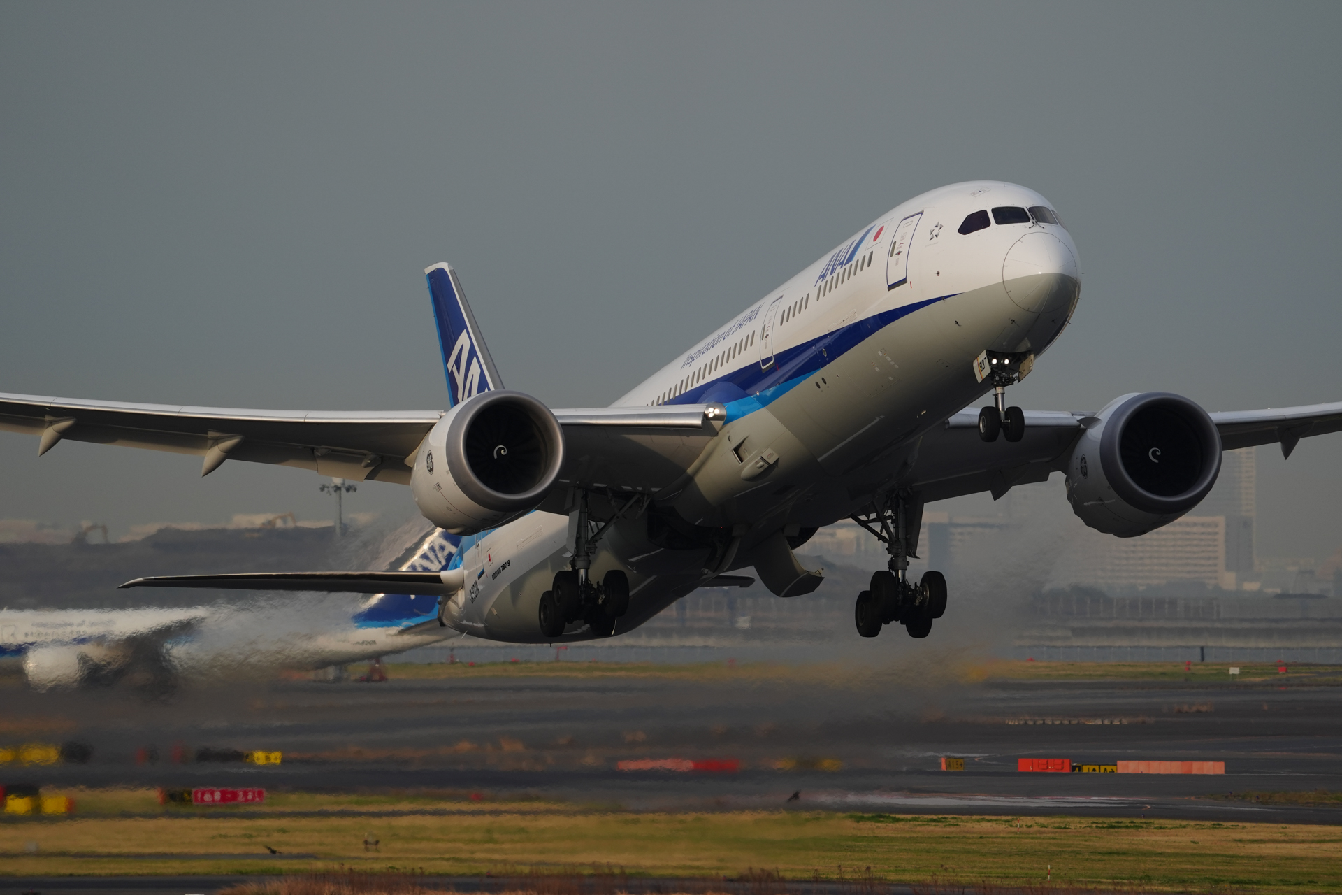 α9 III／FE 400-800mm F6.3-8 G OSS／800mm／マニュアル露出（1/1,000秒、F8）／ISO 400／WB: オート