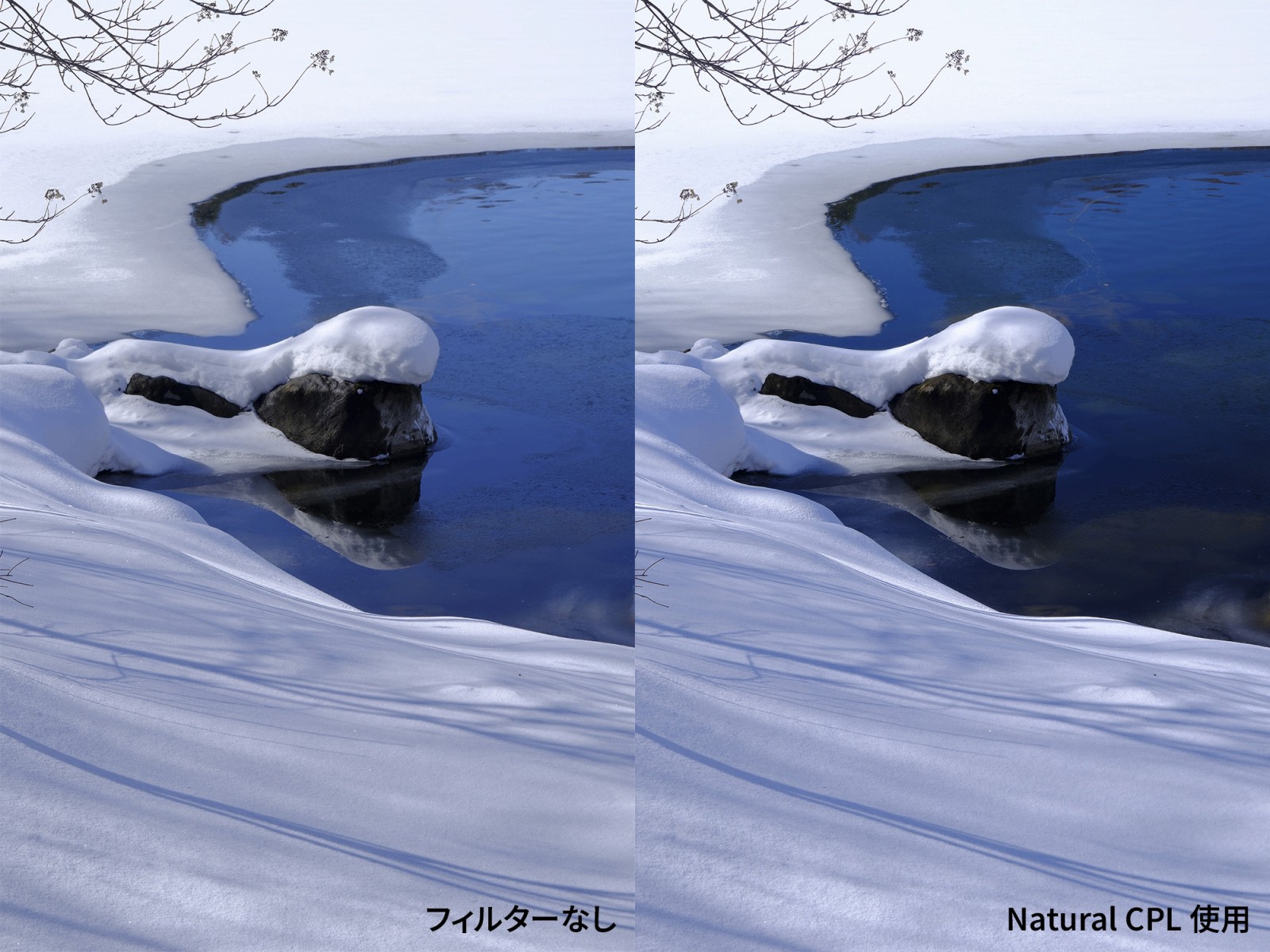 色味のニュートラル比較