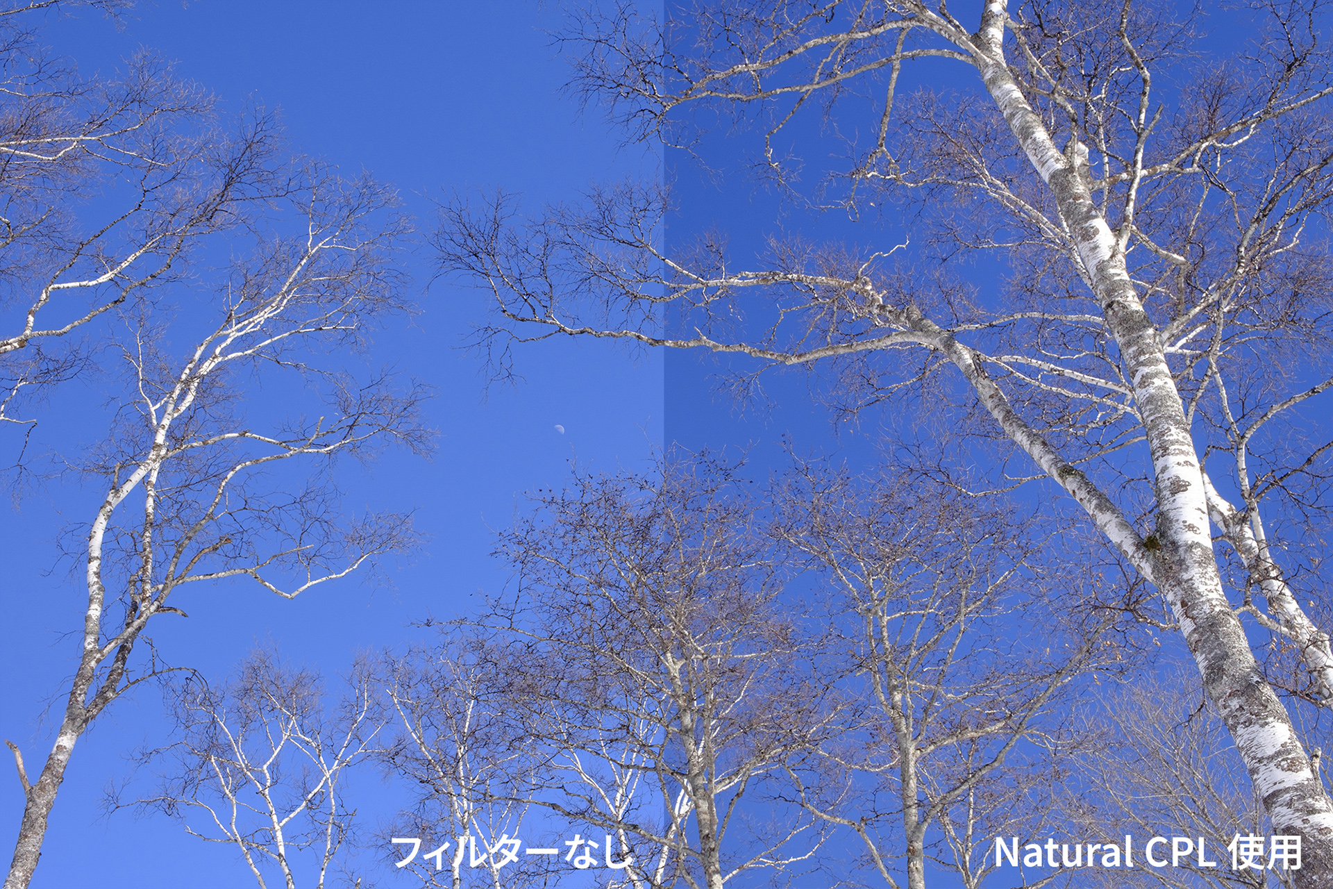 偏光の効果比較