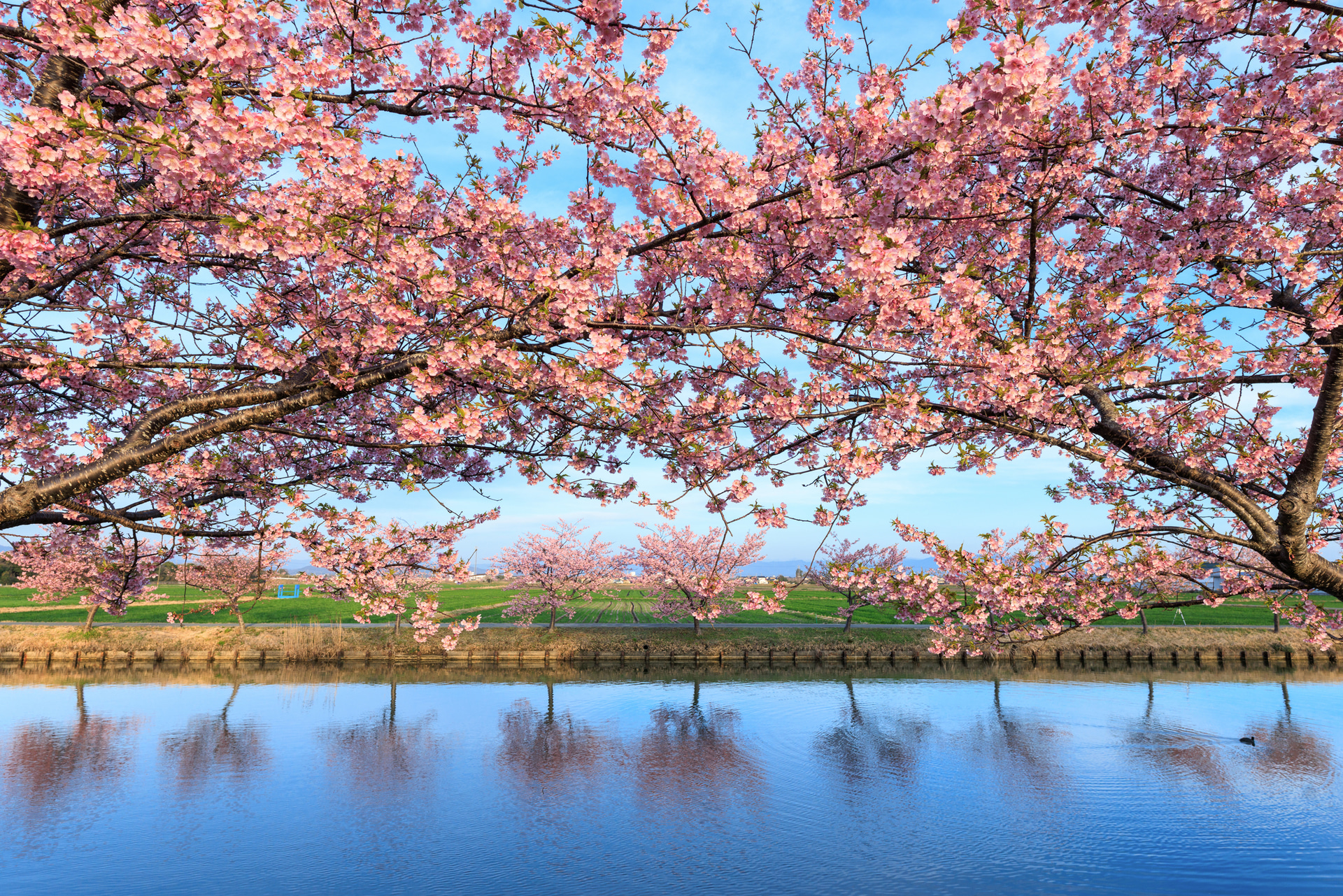 <span class="fnt-85">キヤノン EOS R5 Mark II／20mm／絞り優先AE（F8、1/80秒、＋1.3EV）／ISO 200／WB：オート</span>