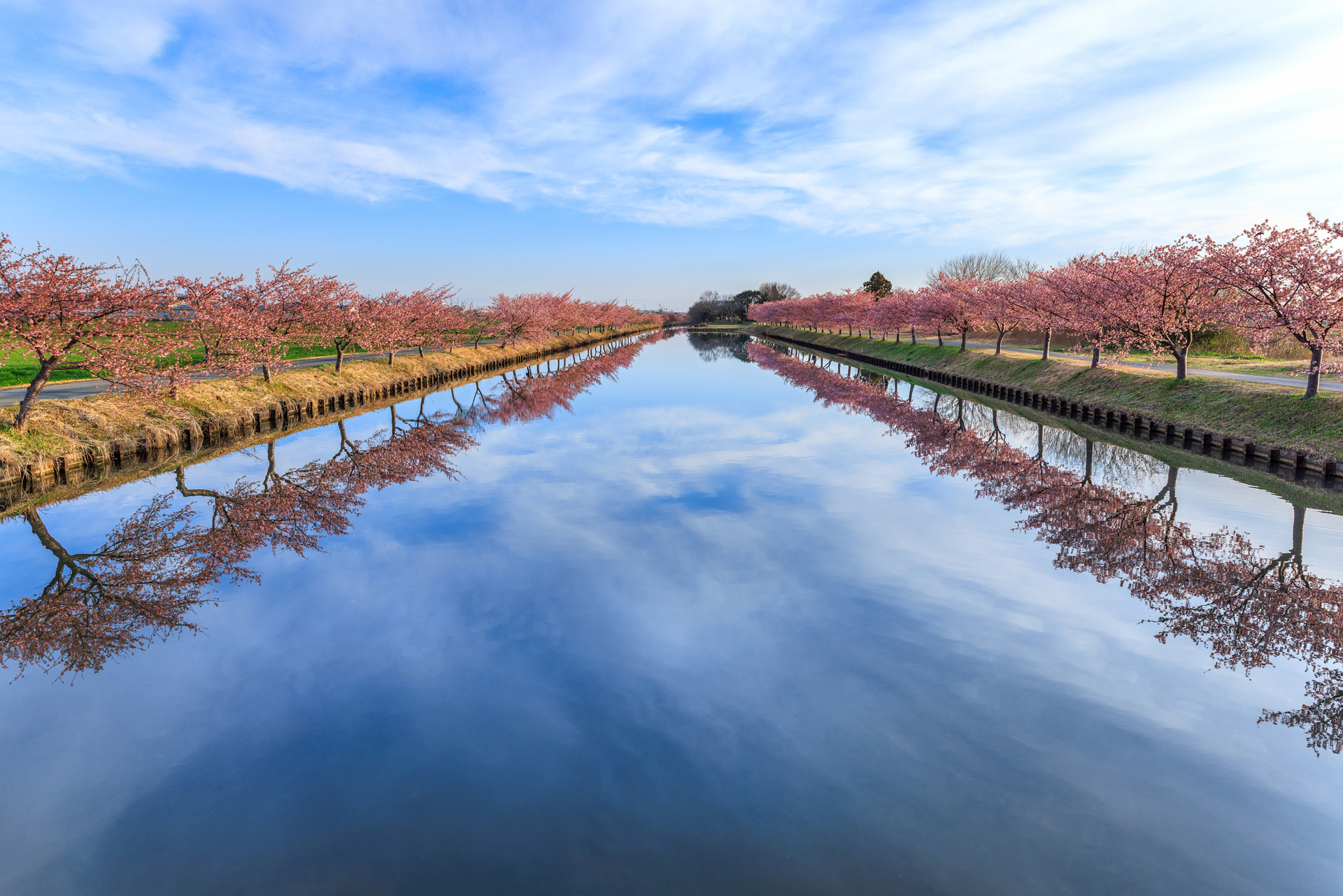 同じ位置から撮影しても、20mmは画角が広いため、両岸の桜並木をより多く写し込める。空と水面の広がりも加わり、奥行きと密度のある描写へとつながった