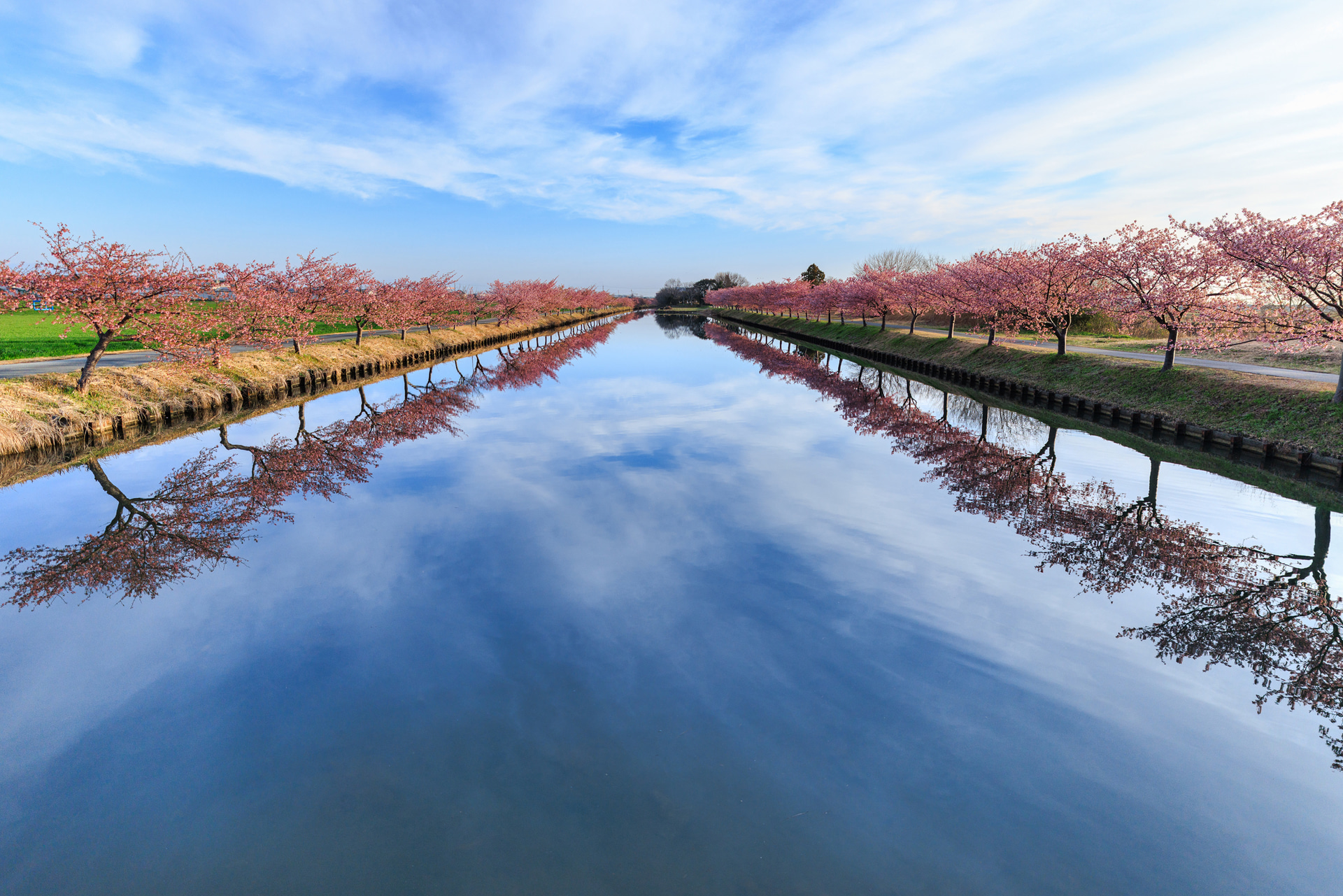 同じ位置から撮影しても、20mmは画角が広いため、両岸の桜並木をより多く写し込める。空と水面の広がりも加わり、奥行きと密度のある描写へとつながった
