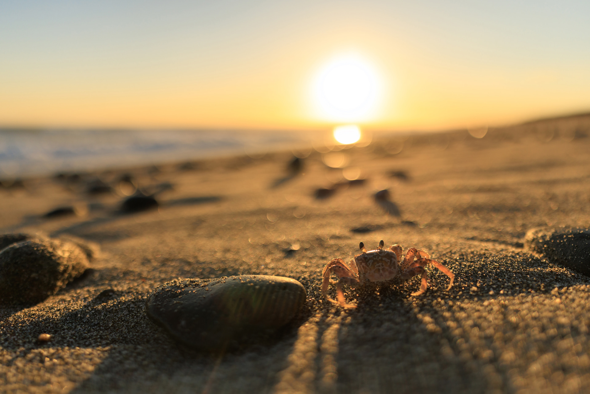 <span class="fnt-85">キヤノン EOS R5 Mark II／20mm／絞り優先AE（F1.4、1/6,400秒、－0.3EV）／ISO 100／WB：オート</span>