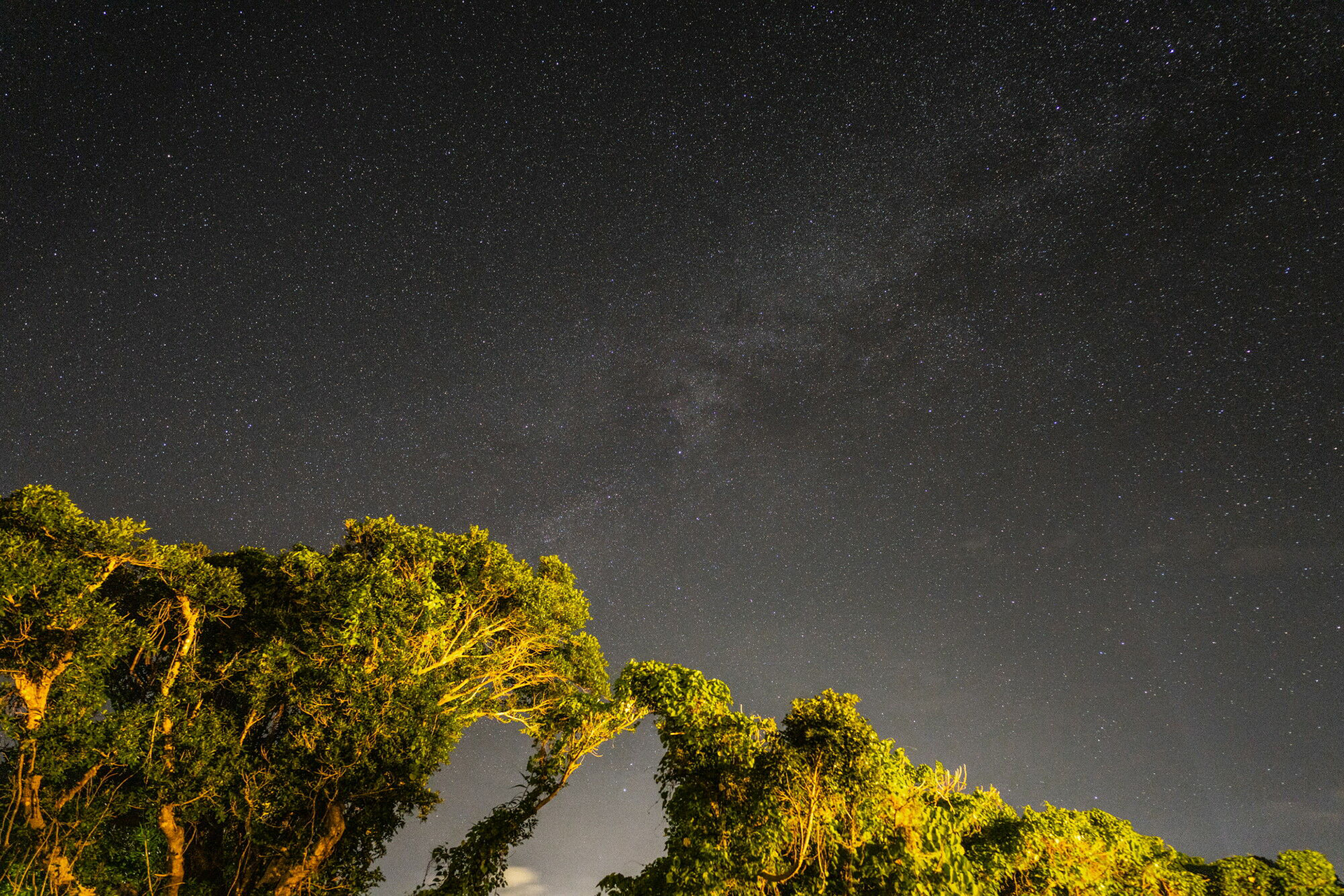 フィルター未使用