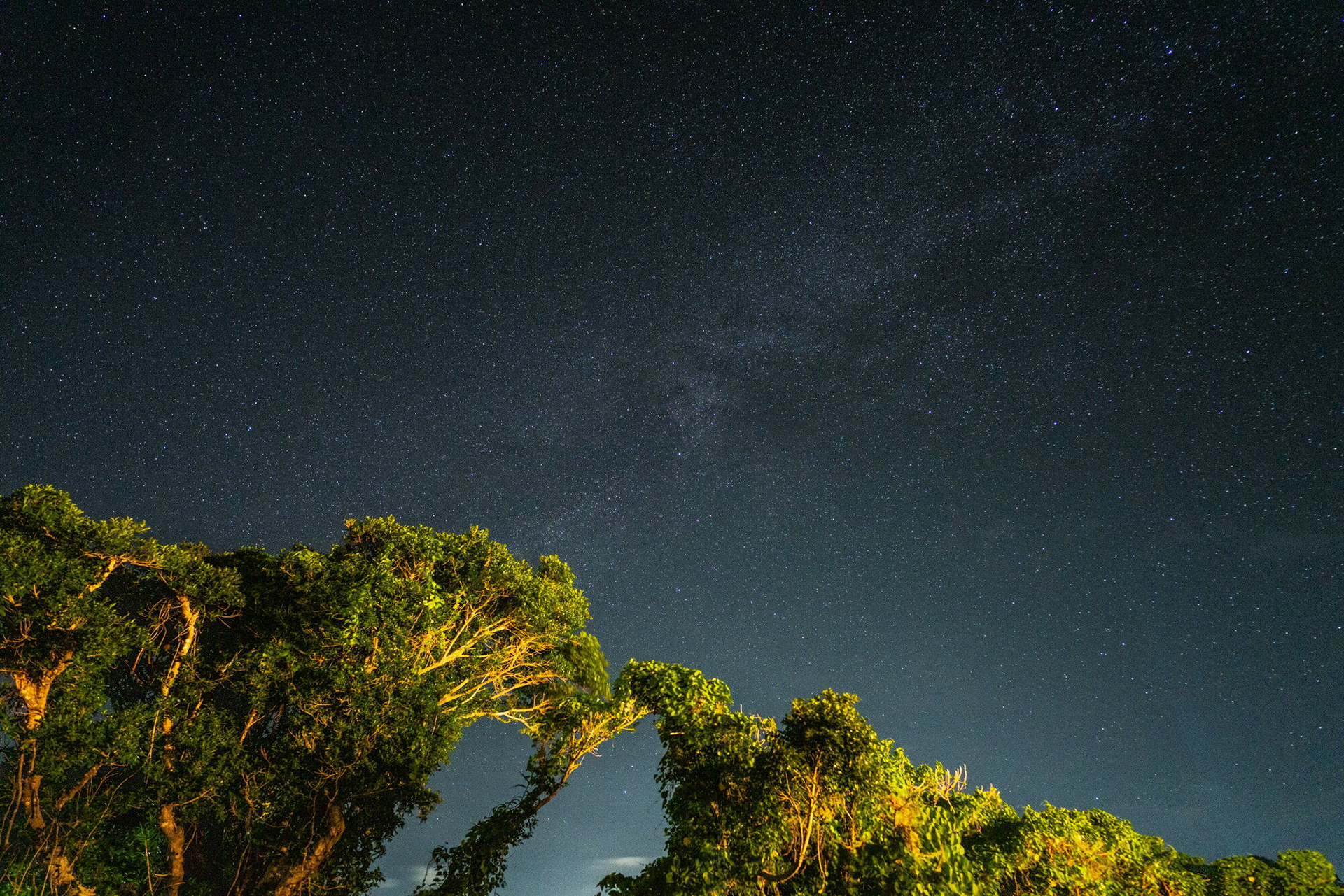 スターリーナイトN使用