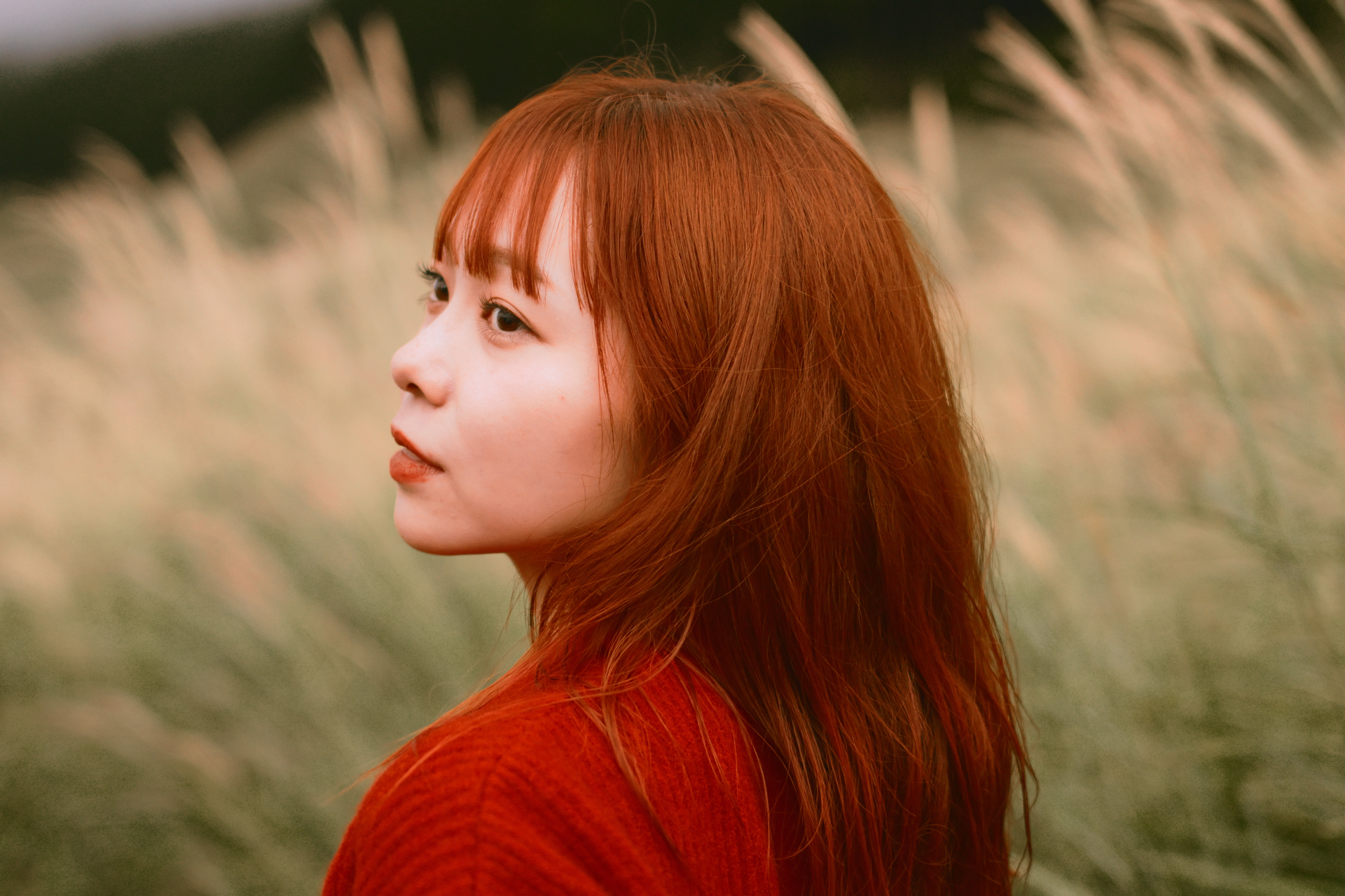 Z50II／NIKKOR Z 40mm f/2／40mm／マニュアル（1/250秒、F2）／ISO 1250（撮影：甘夏蜜柑）