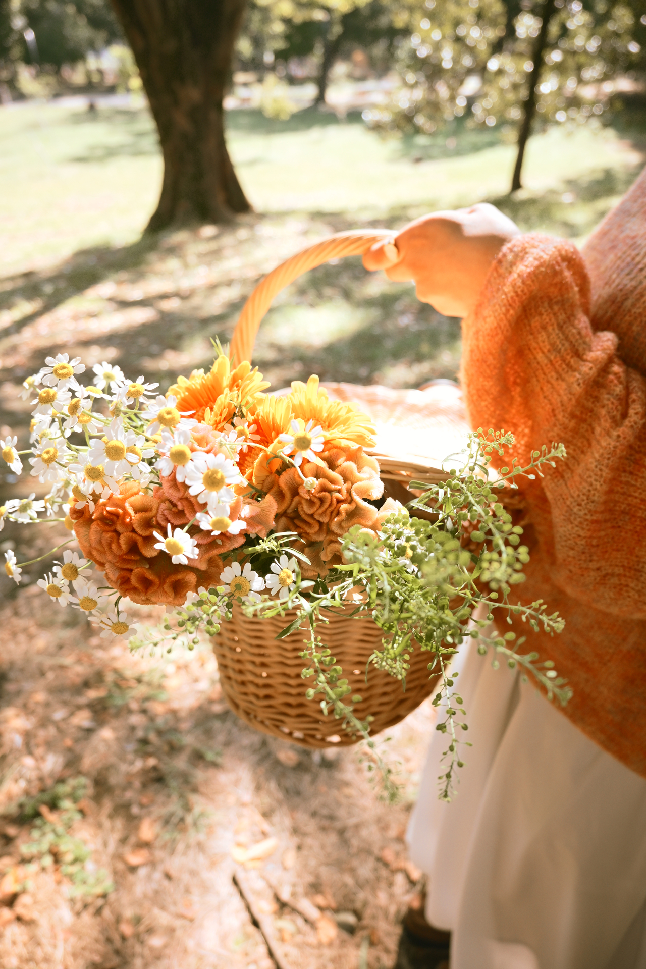 Z50II／NIKKOR Z DX 16-50mm f/3.5-6.3 VR／16mm／マニュアル（1/200秒、F3.5）／ISO 160（撮影：甘夏蜜柑）