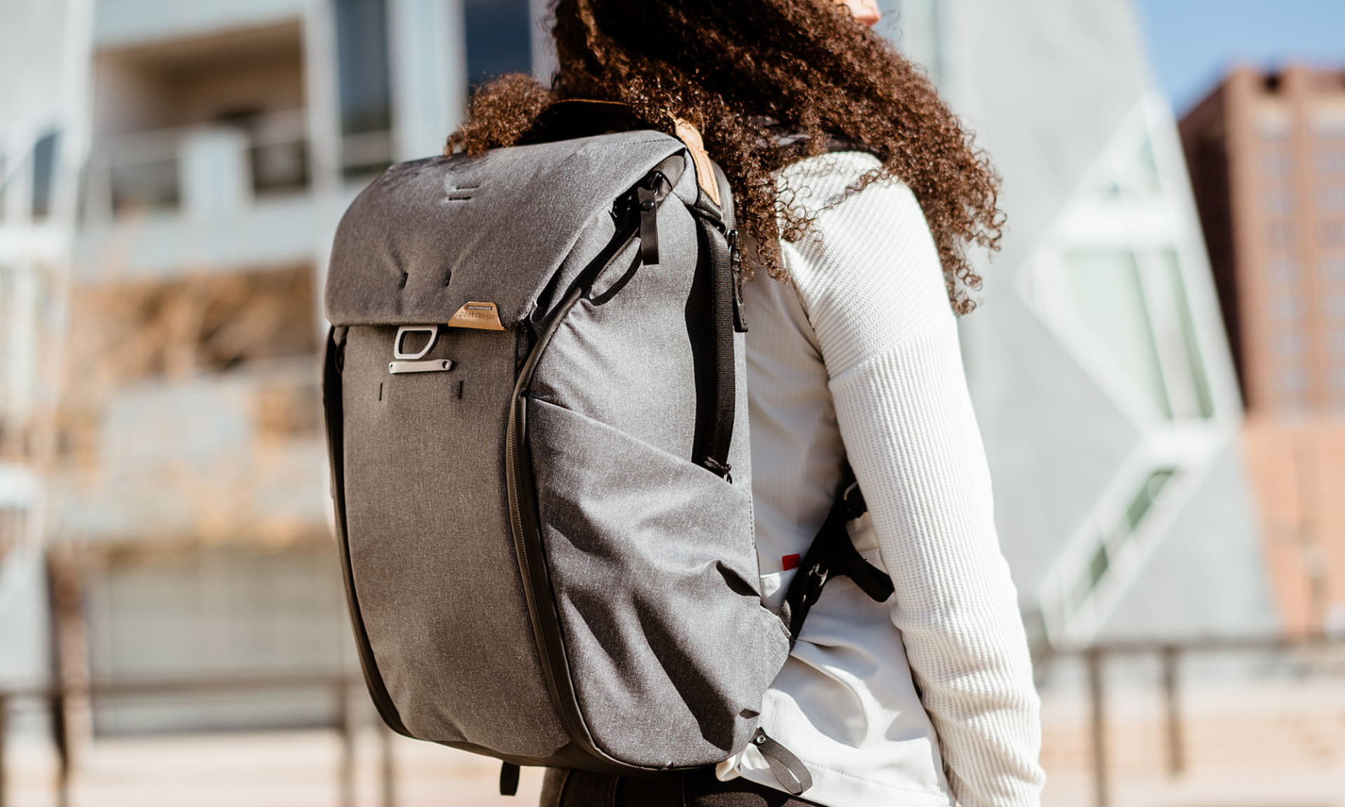 エブリデイ バックパック 20L（アッシュ）