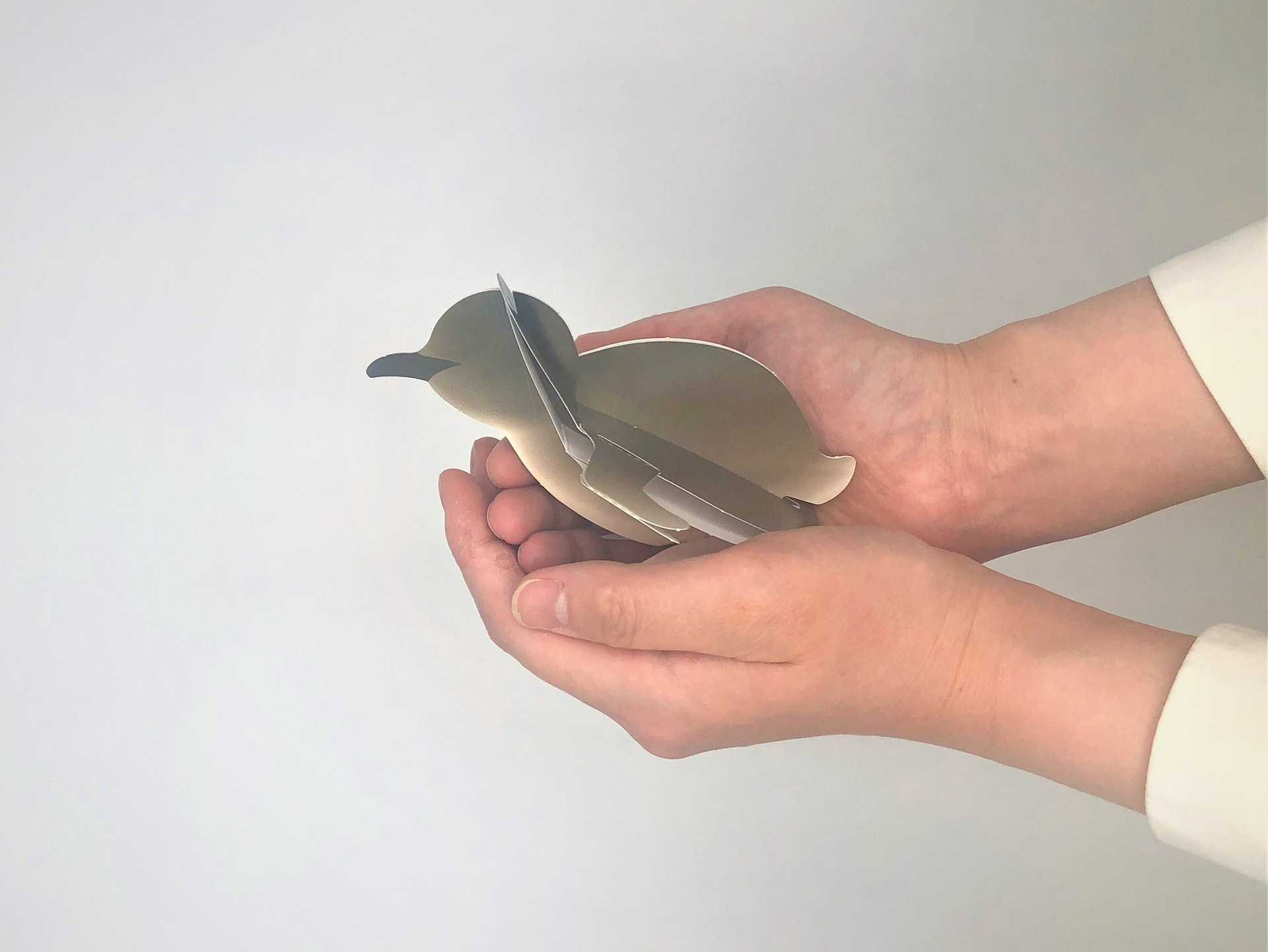 ワークショップ（イメージ）