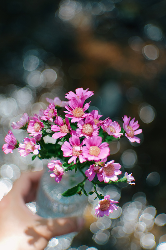 提供：株式会社焦点工房