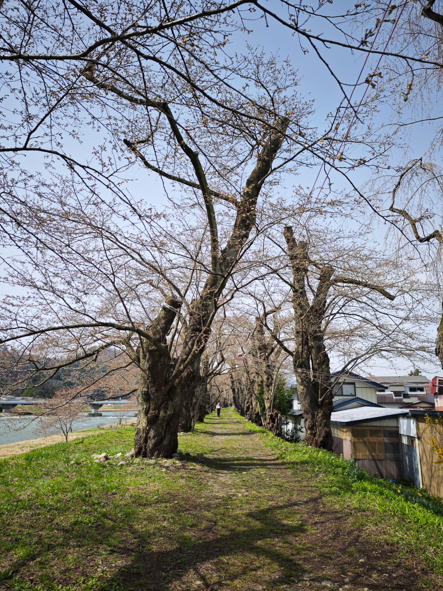 質感も良く、木々の雰囲気もいい。自然な写りで好感が持てる