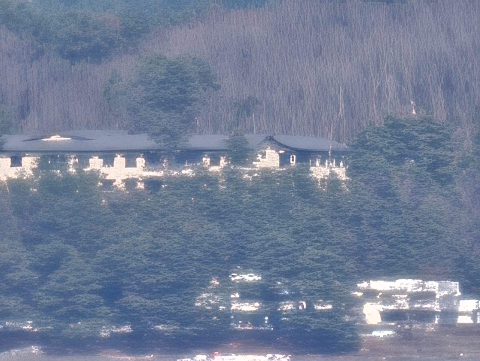 デジタル120倍（2,791mm相当）。サムネイルだと何が写っているか分かるというレベル