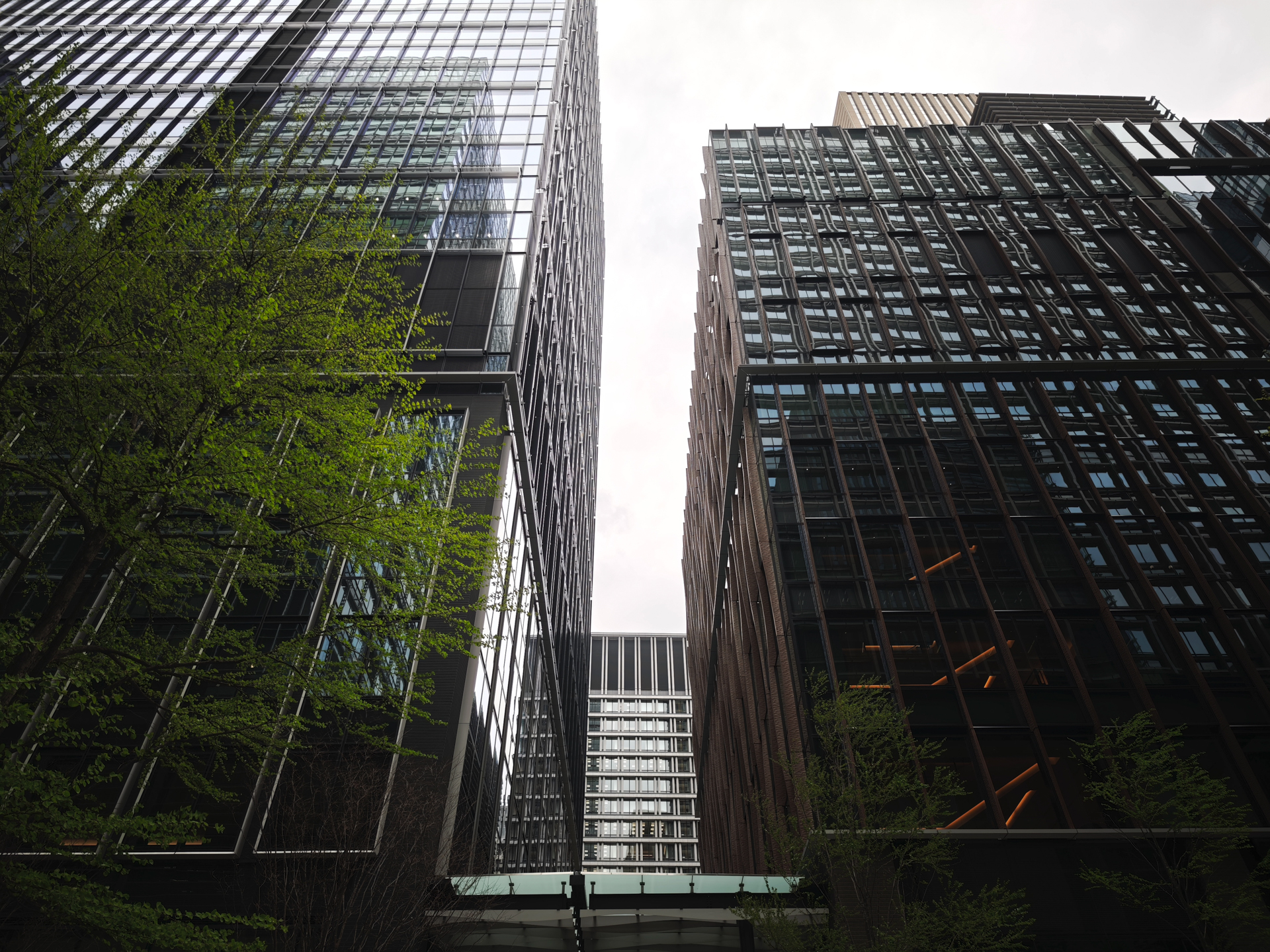 Leicaナチュラル