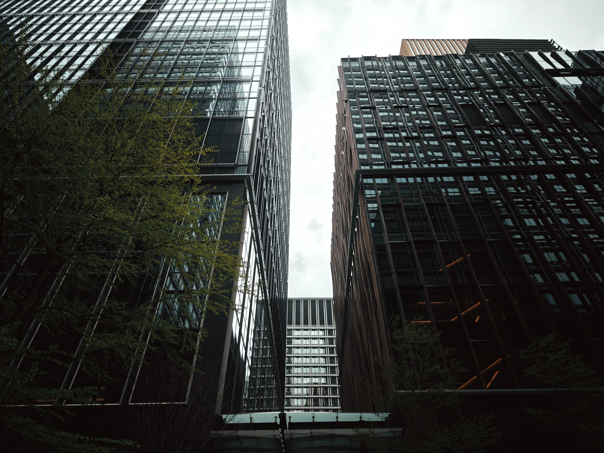 ティールミスト