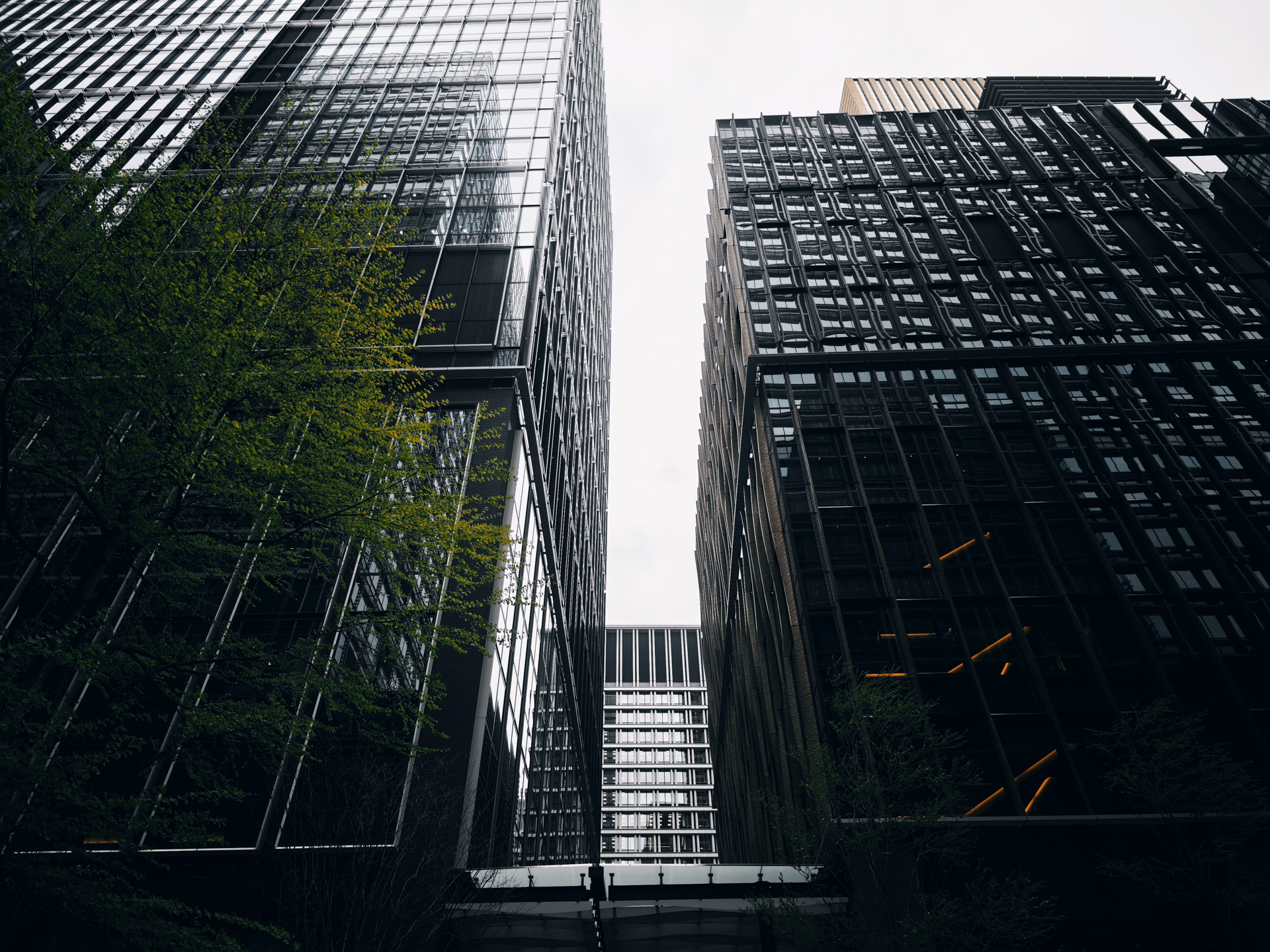 ブラックゴールド