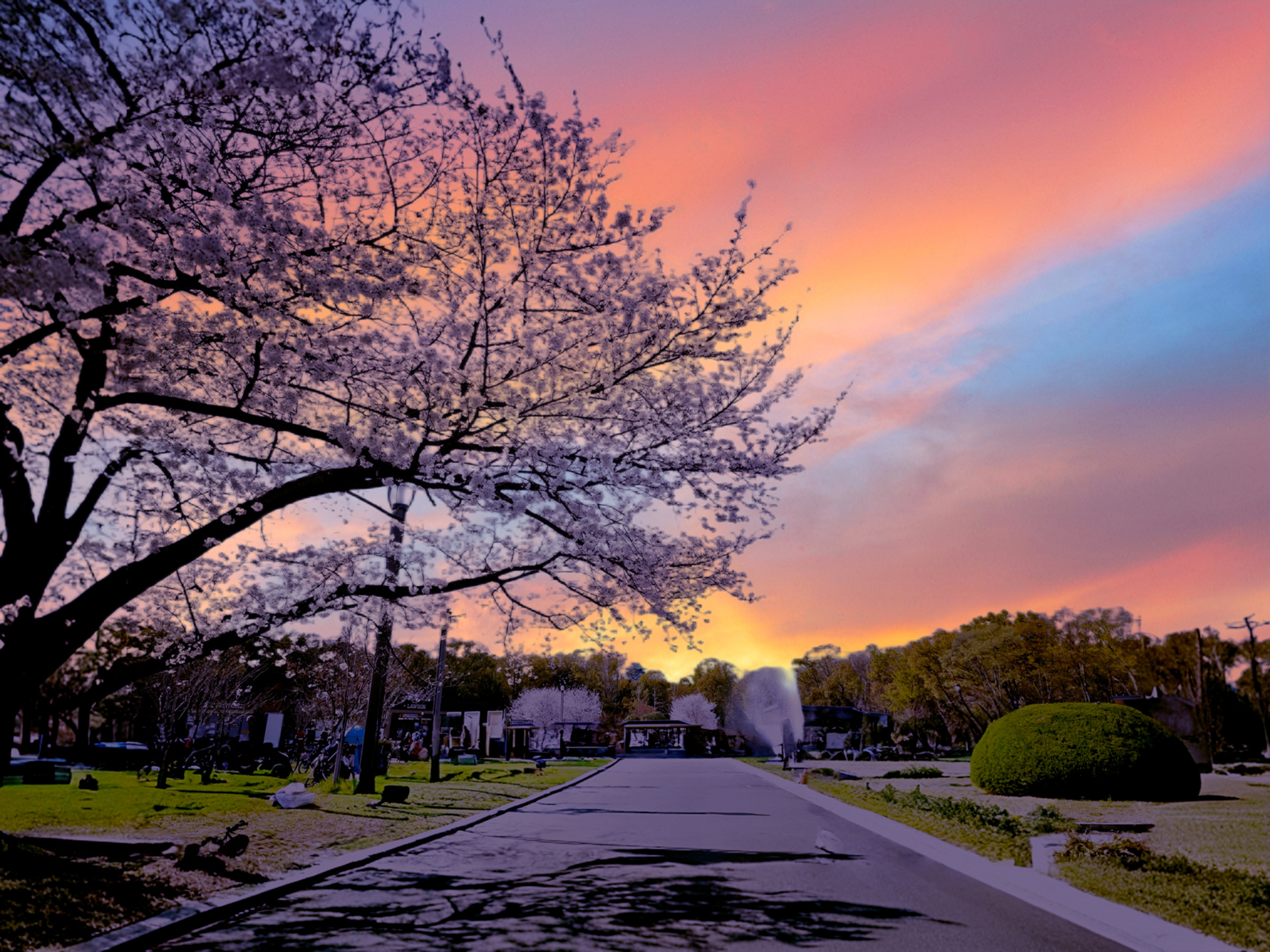 AIで編集した写真