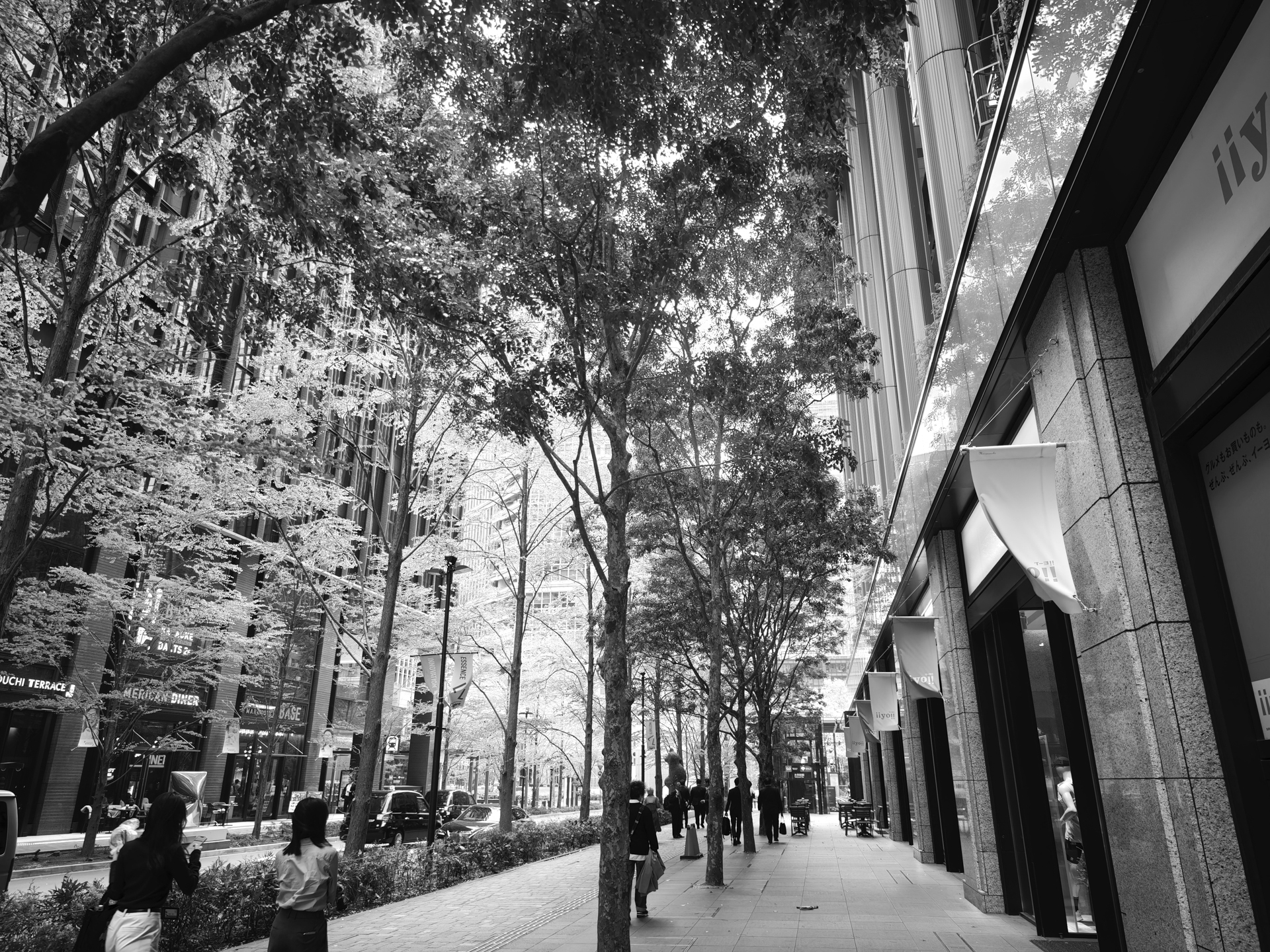 コントラストの再現が適切で、モノクロでの表現もいい