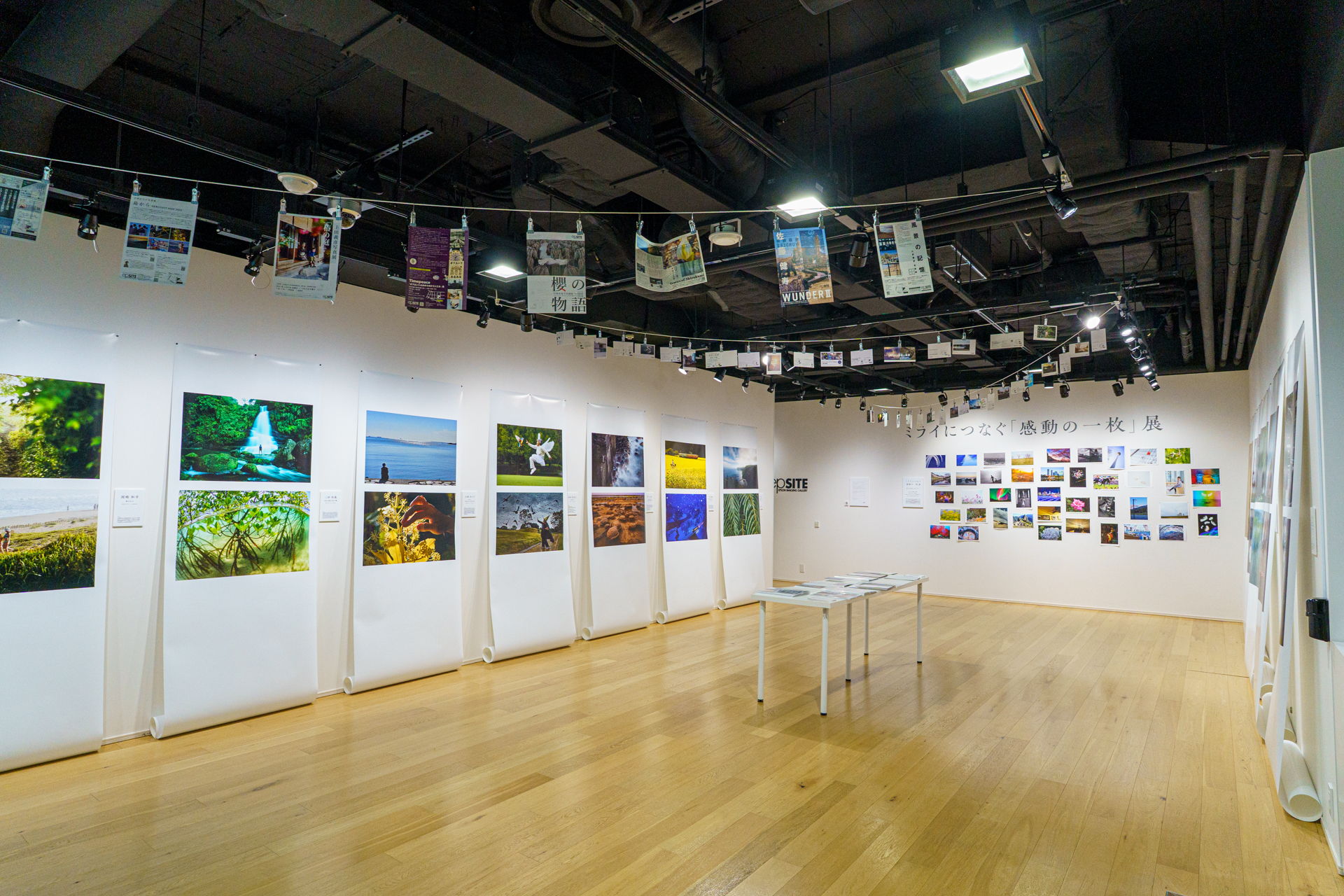 エプサイトギャラリーで開催中の写真展「エプサイトギャラリー感謝祭　～写真のチカラ・プリントのチカラ～」