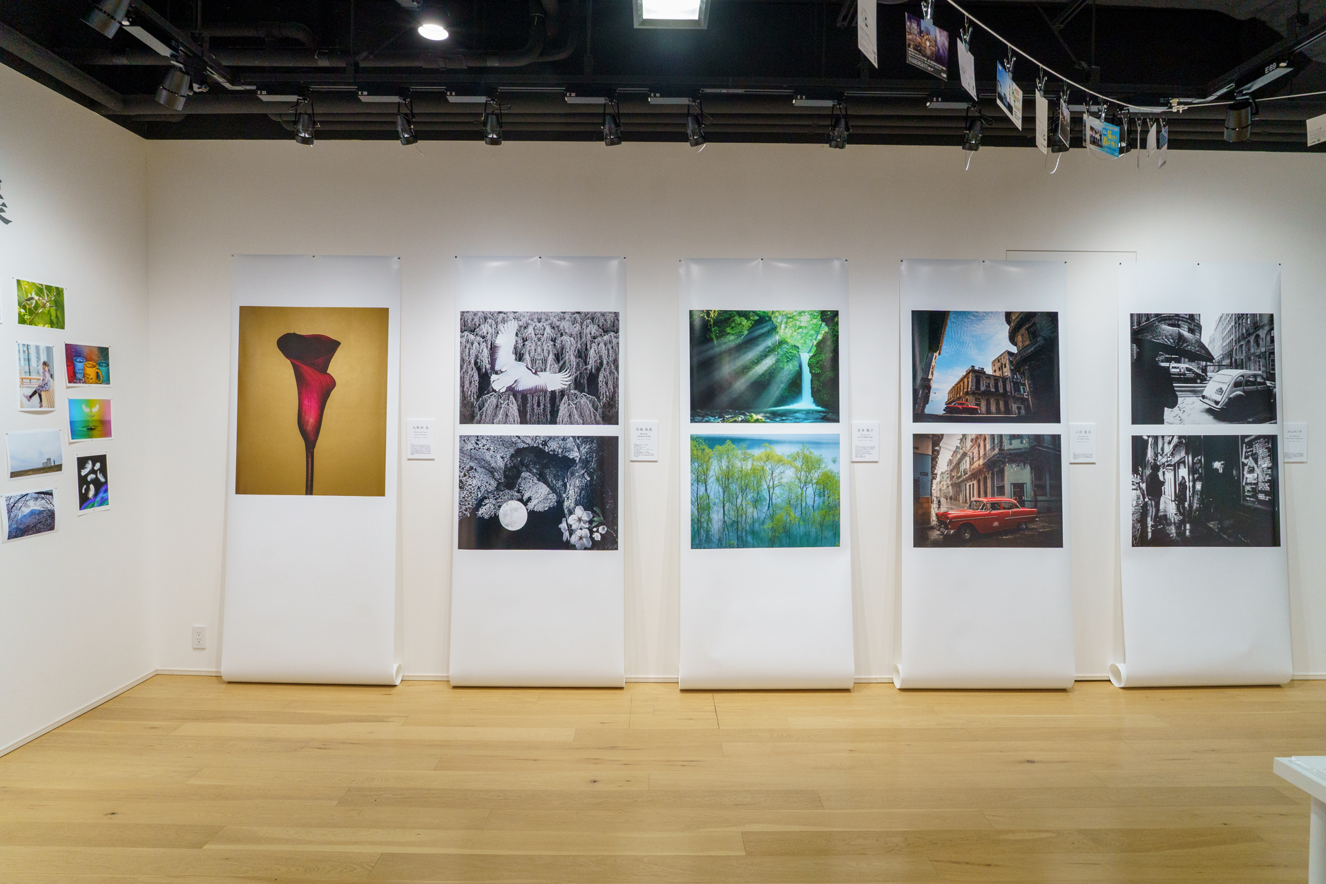 出展作家の作品を新たにプリントして展示