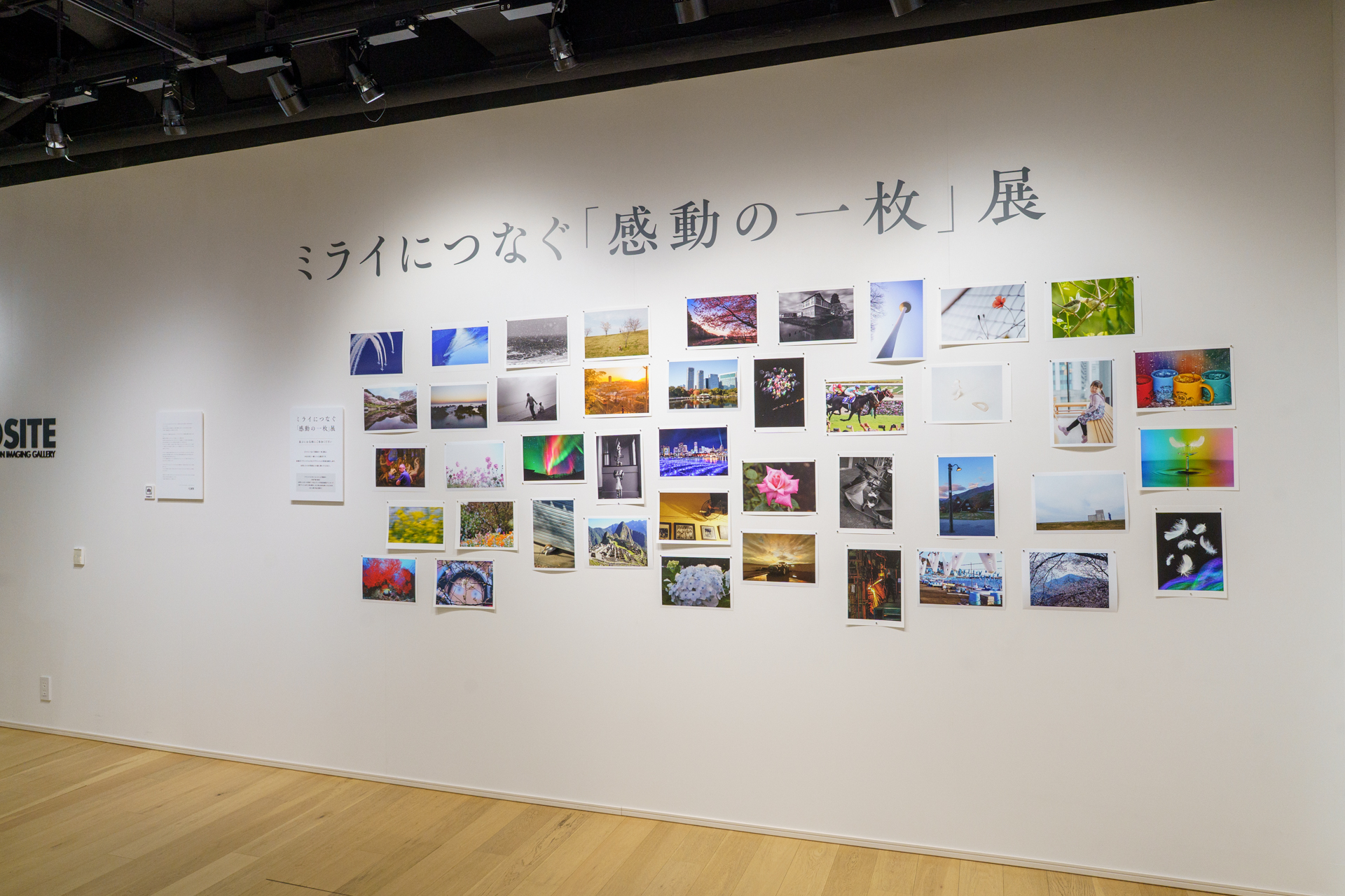 “ミライにつなぐ「感動の一枚」展”の展示。ここに自分の作品が掲出される