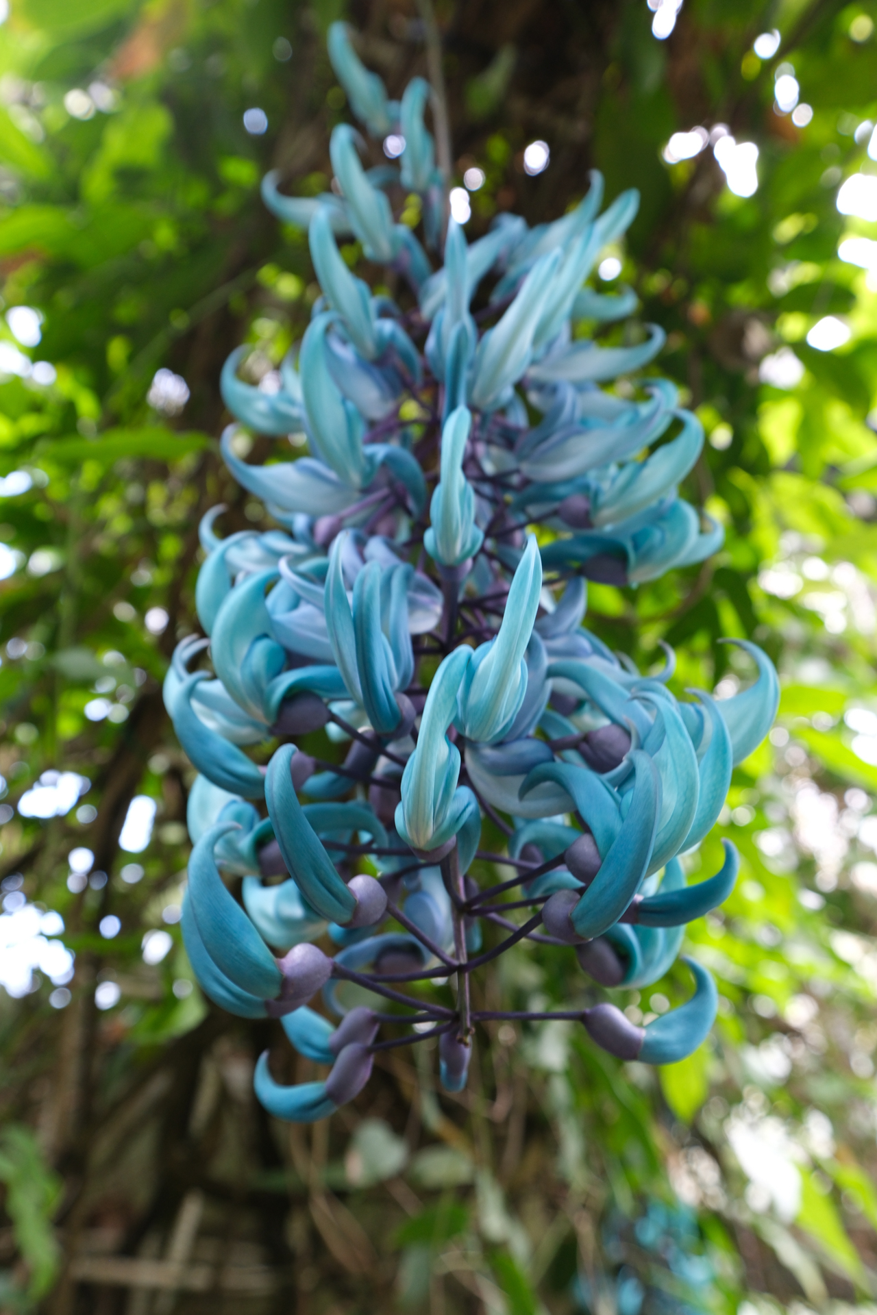 富士フイルム X-H2S／Tokina atx-m 11-18mm F2.8 X／18mm（27mm相当）／絞り優先AE（F4、1/20秒）／ISO 400／WB：オート