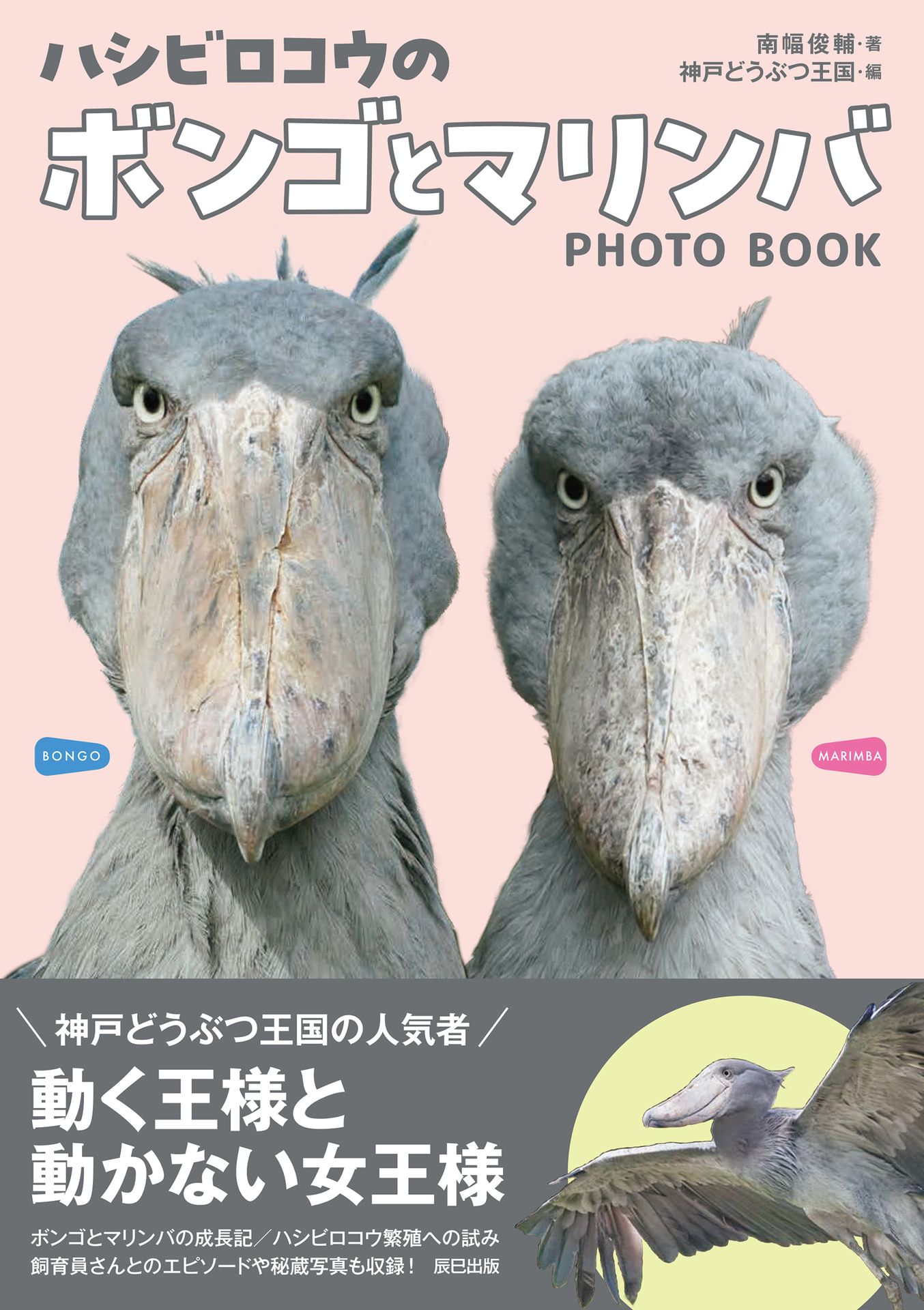 「ハシビロコウのボンゴとマリンバ」（著・南幅俊輔　編・神戸どうぶつ王国／辰巳出版）