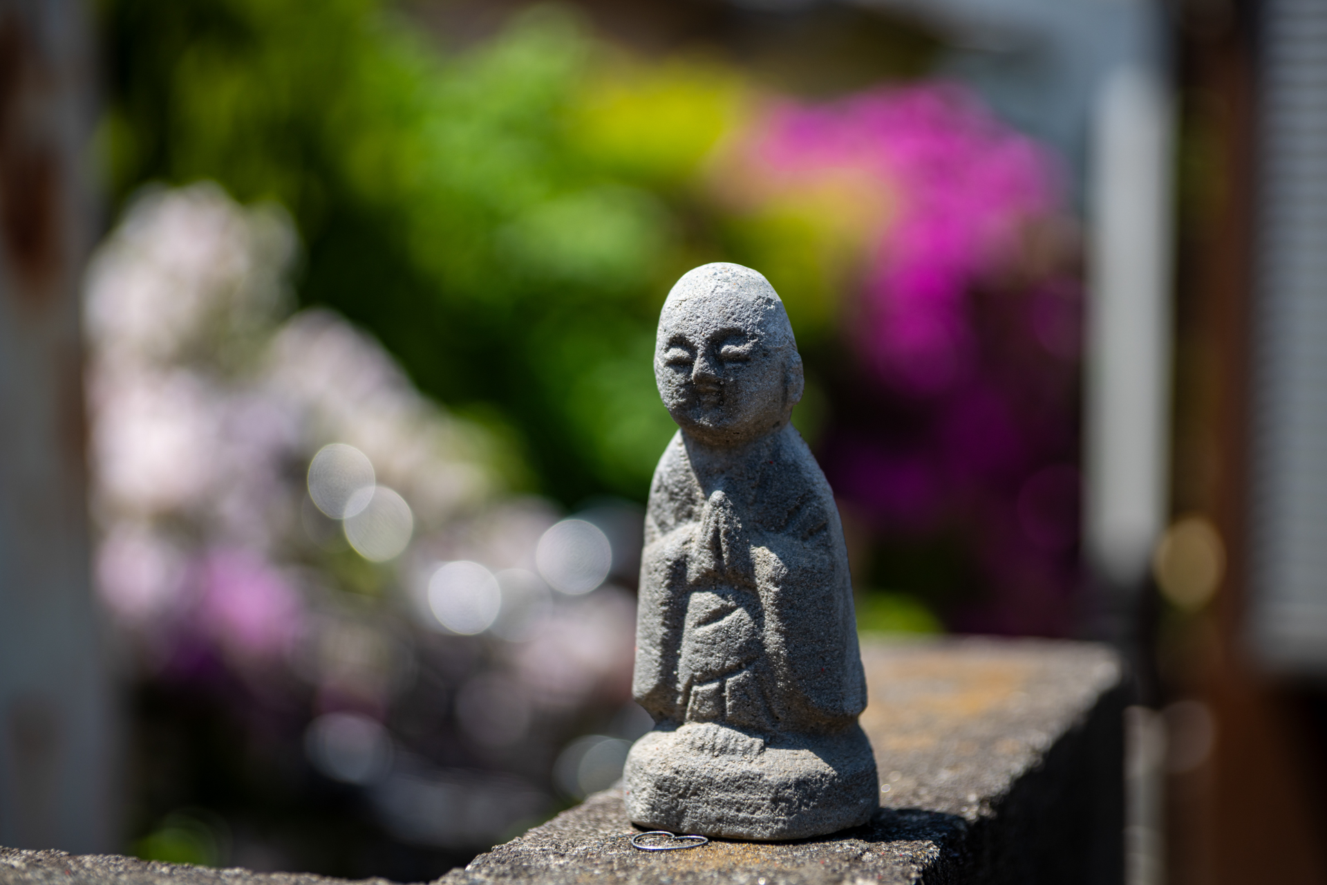 絞り開放でテレ端の最短撮影距離。ハイライトの滲みは軽微です。丸いボケは少々いびつですが、気にならないでしょう。<span class="fnt-85">ソニー α7CR／Vario-Sonnar T＊ 24-70mm F2.8 ZA SSM／70mm／絞り優先AE（1/1,250秒、F2.8、−0.7EV）／ISO 100</span>