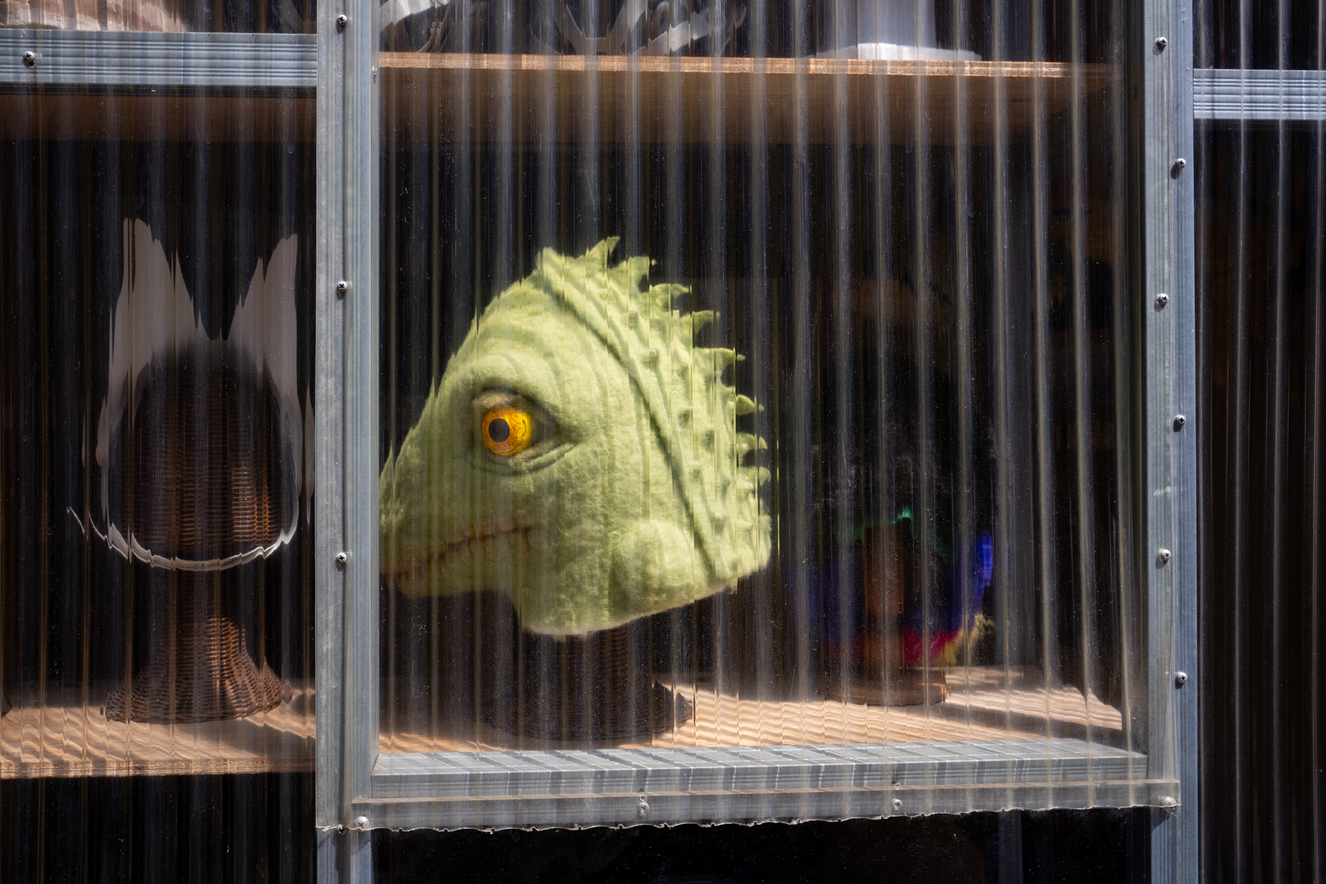 歩いてたら目線を感じてつい撮影してしまい。前ピンになるかと思ったらきちんと目玉にフォーカスしました。<span class="fnt-85">ソニー α7CR／Vario-Sonnar T＊ 24-70mm F2.8 ZA SSM／35mm／絞り優先AE（1/800秒、F8.0、−0.7EV）／ISO 400</span>