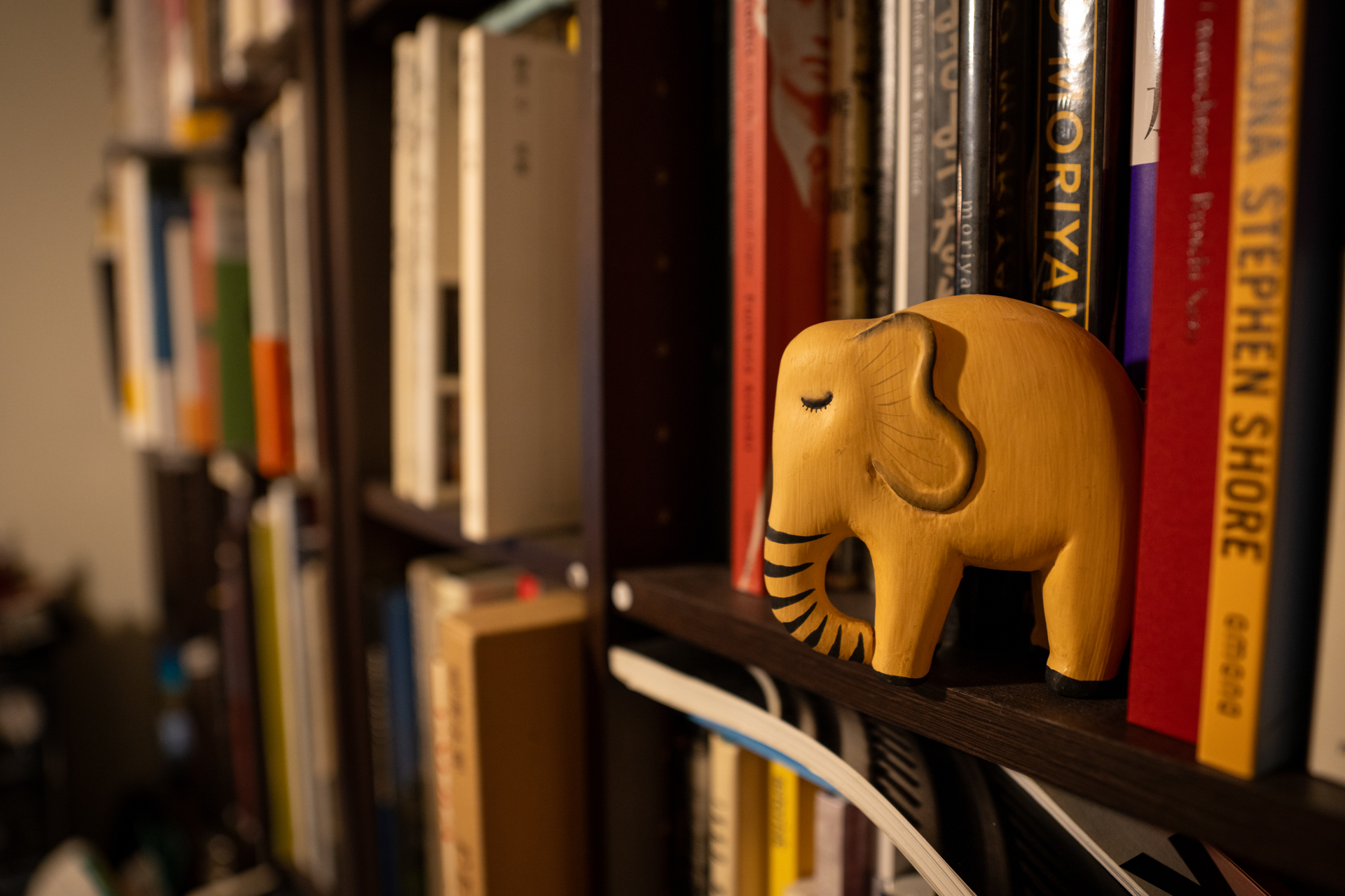 仕事場の本棚。ワイド端で最短撮影距離、絞り開放ですが、ミラーレス機ならではの高精度な合焦かつ余裕すら感じる描写。レンズのテストではこのアングルでボケ味をみていますが、本の背に2線ボケを感じません。優秀です。<span class="fnt-85">ソニー α7CR／Vario-Sonnar T＊ 24-70mm F2.8 ZA SSM／24mm／絞り優先AE（1/60秒、F2.8、−0.7EV）／ISO 800</span>