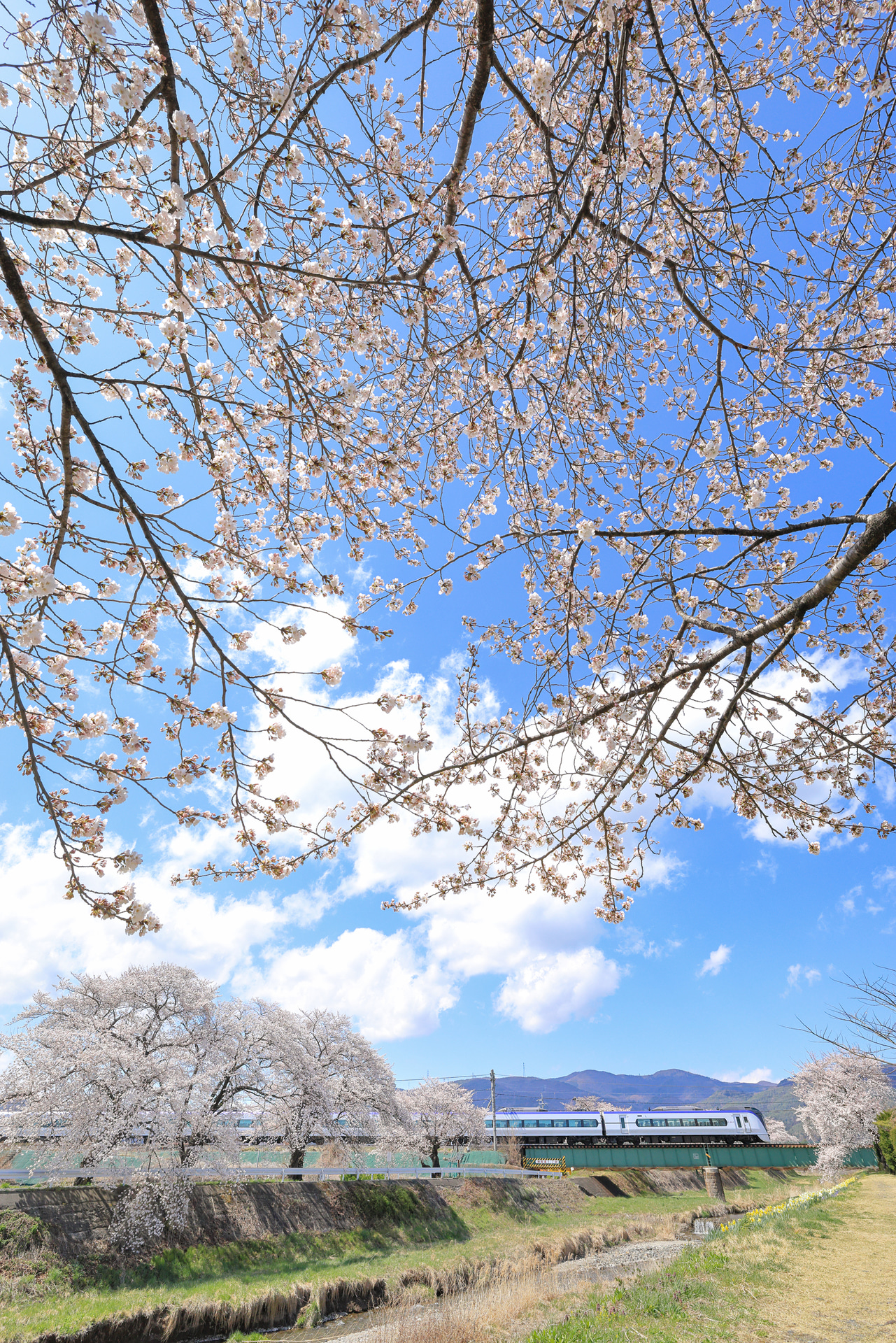 <span class="fnt-85">キヤノン EOS R5 Mark II／17mm／マニュアル露出（F8、1/2,000秒）／ISO 1600／WB：太陽光</span>