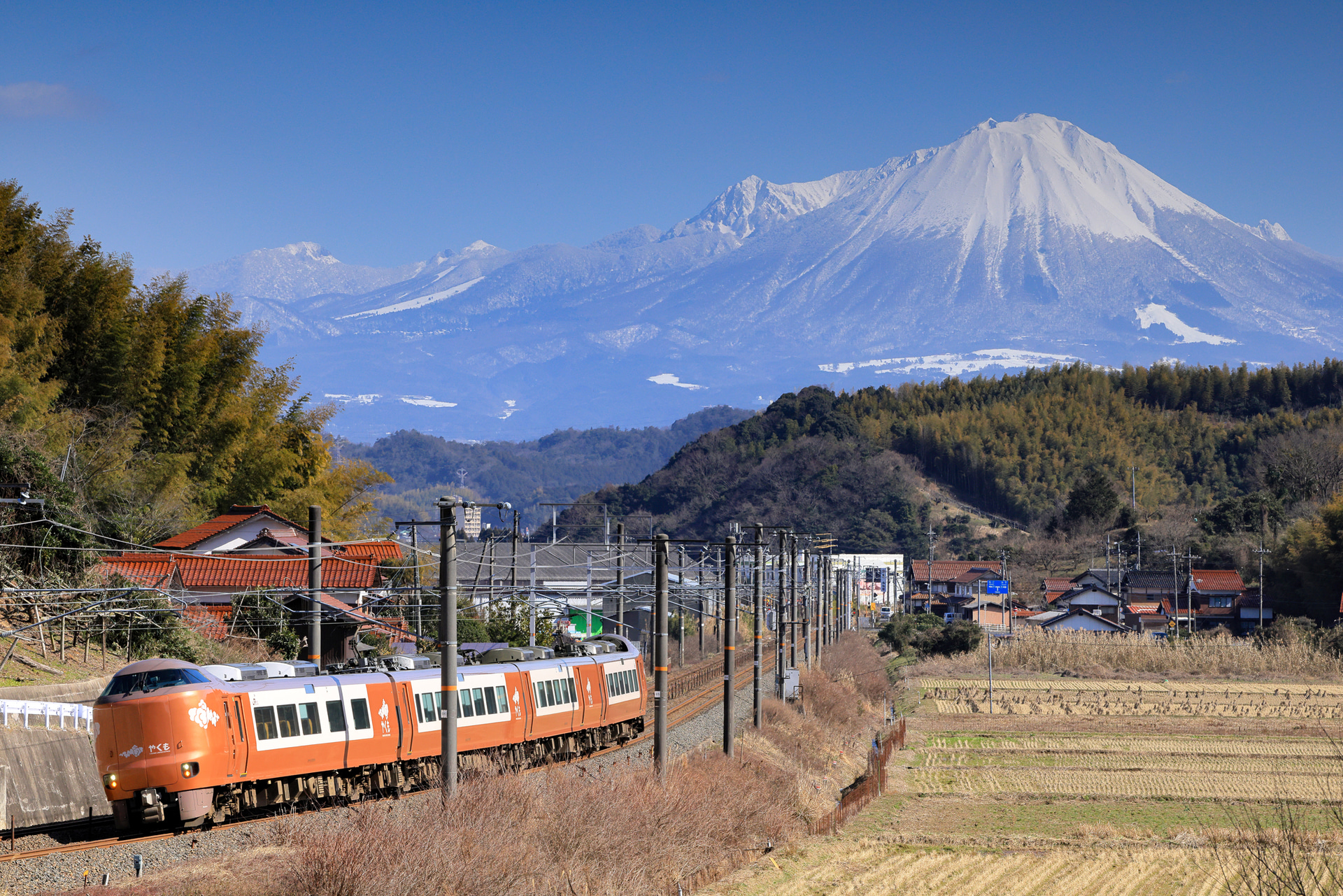 <span class="fnt-85">キヤノン EOS R5 Mark II／159mm／マニュアル露出（F11、1/1,000秒）／ISO 1600／WB：太陽光</span>