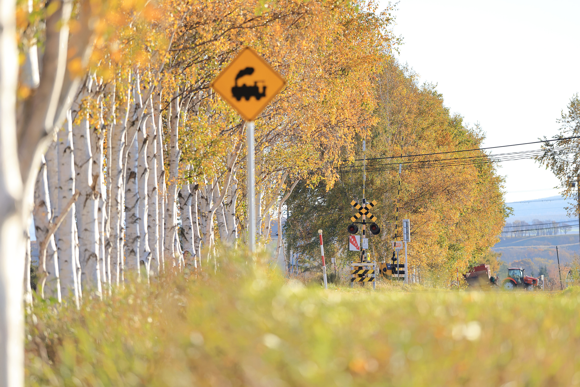 <span class="fnt-85">キヤノン EOS R5 Mark II／163mm／マニュアル露出（F2.8、1/4,000秒）／ISO 800／WB：太陽光</span>