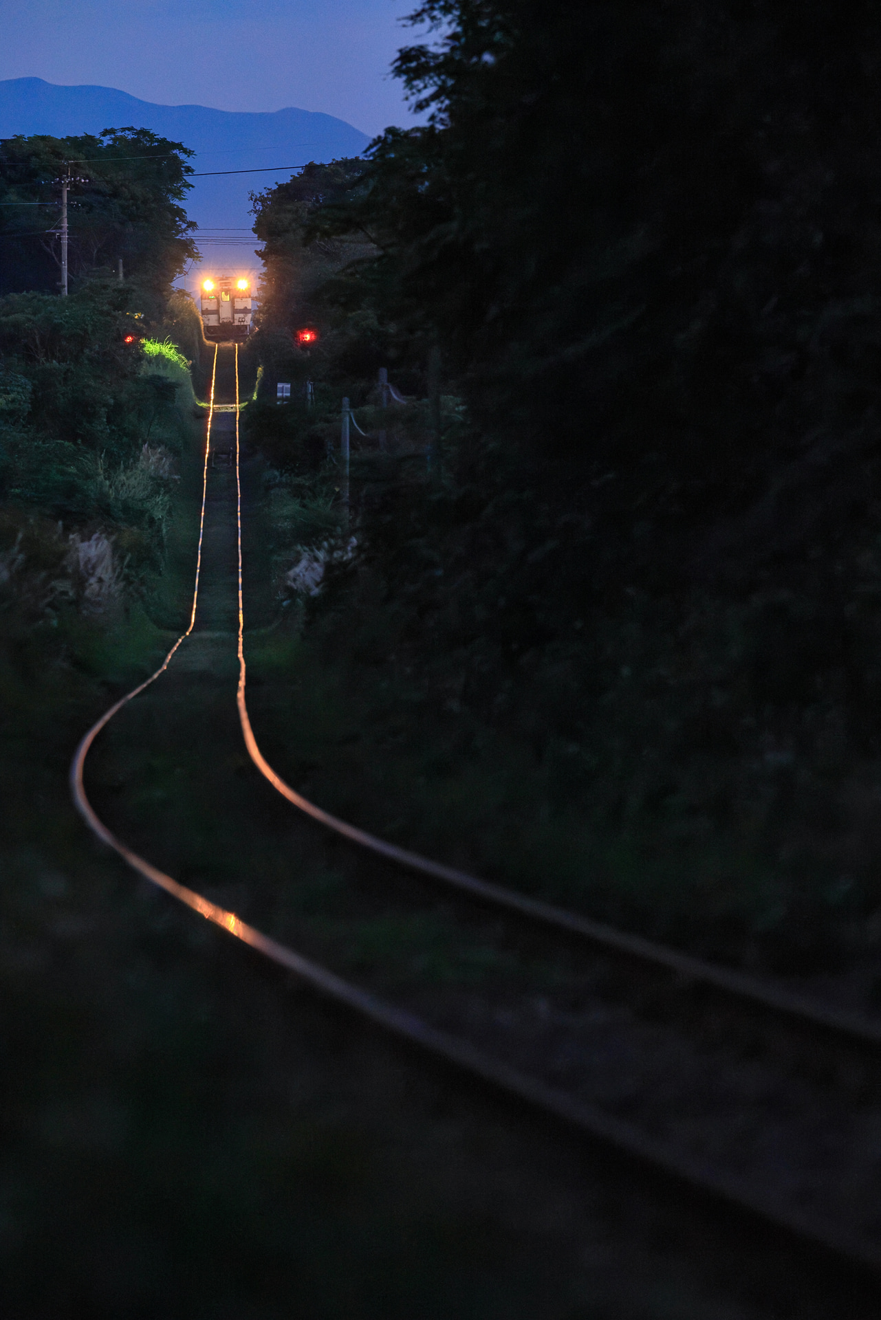 <span class="fnt-85">キヤノン EOS R5 Mark II／400mm／マニュアル露出（F7.1、1/30秒）／ISO 12800／WB：太陽光／EXTENDER RF2x</span>